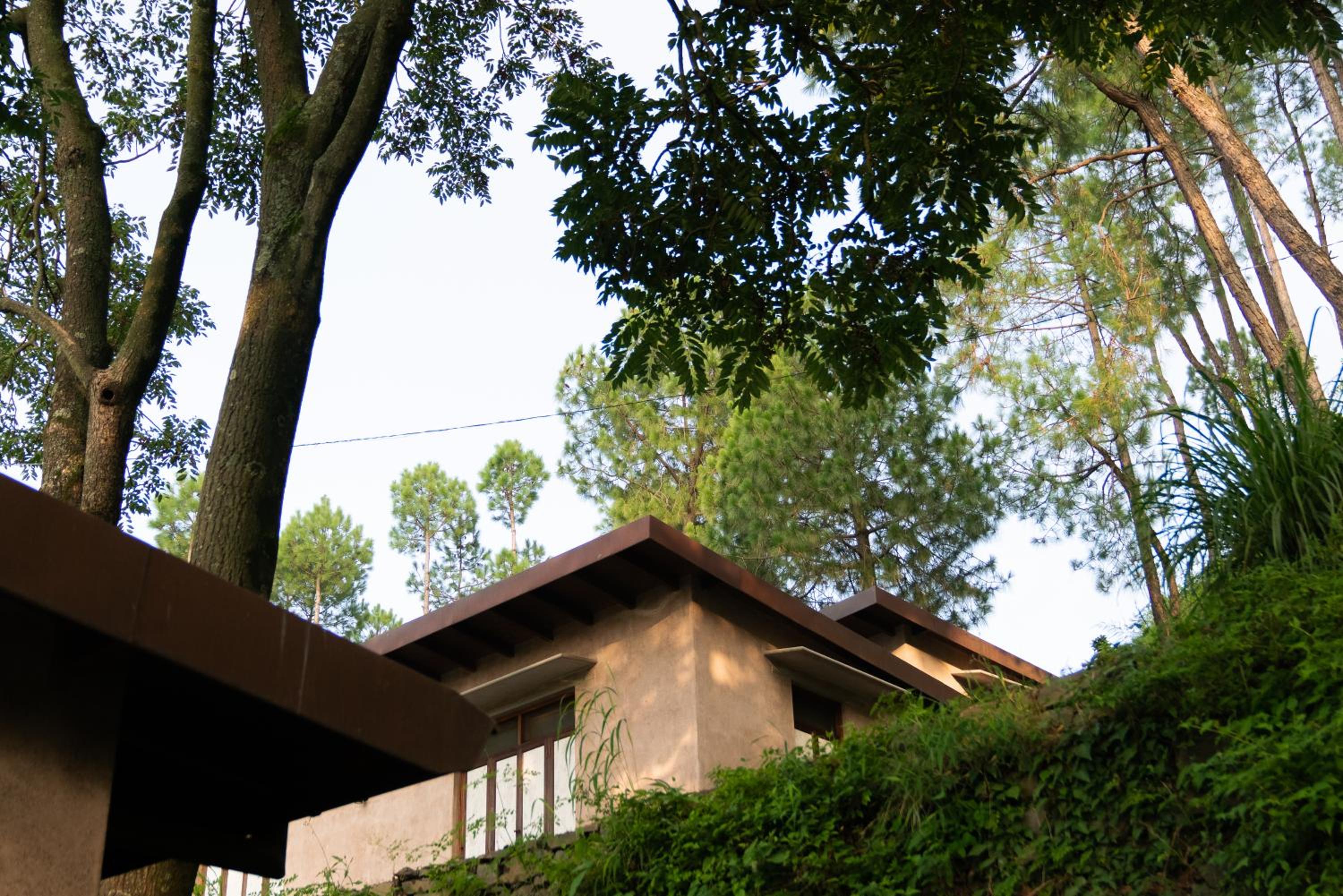 Amaya Kasauli