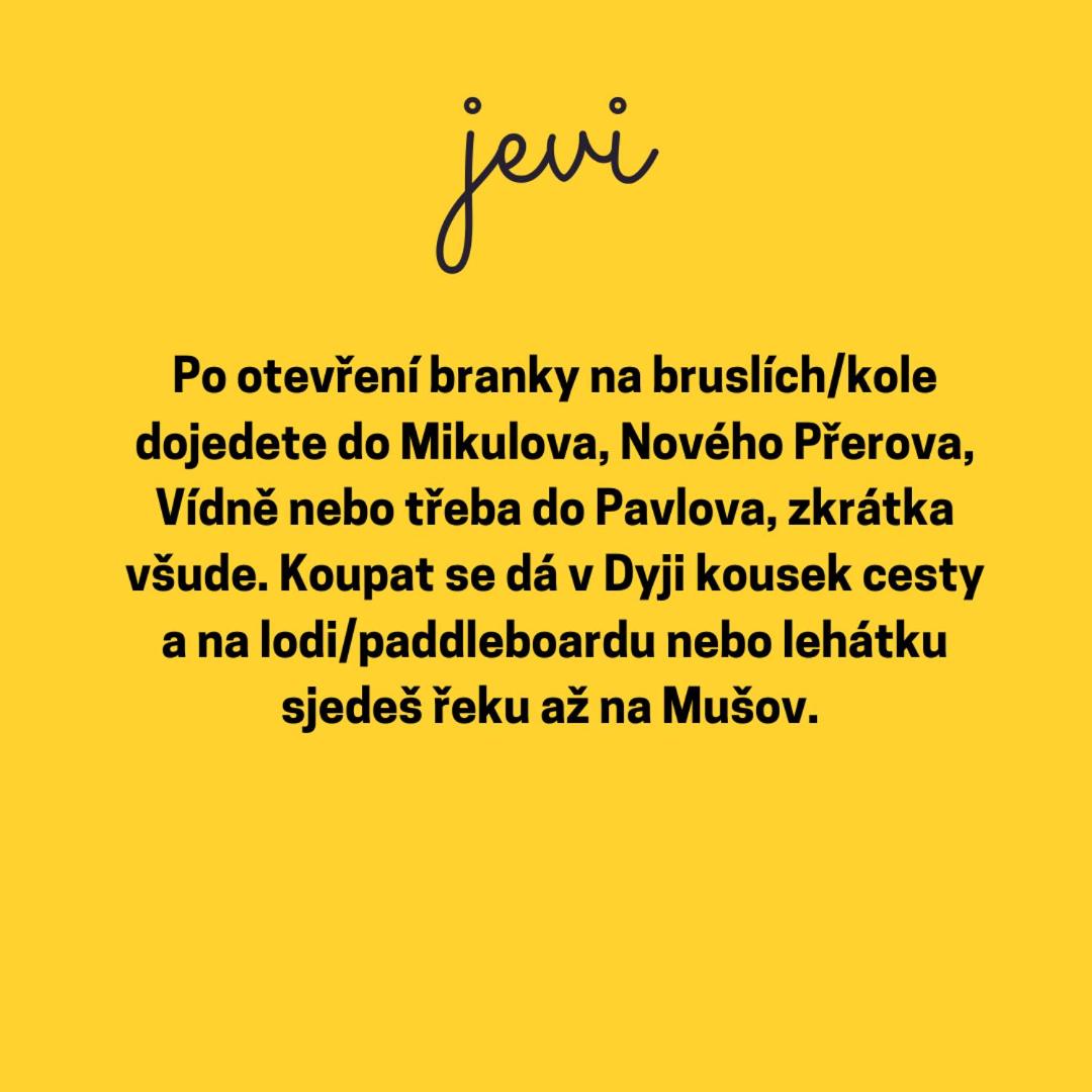 Jevi Jevišovka