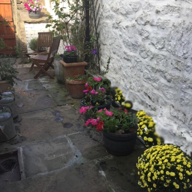 Photo 28