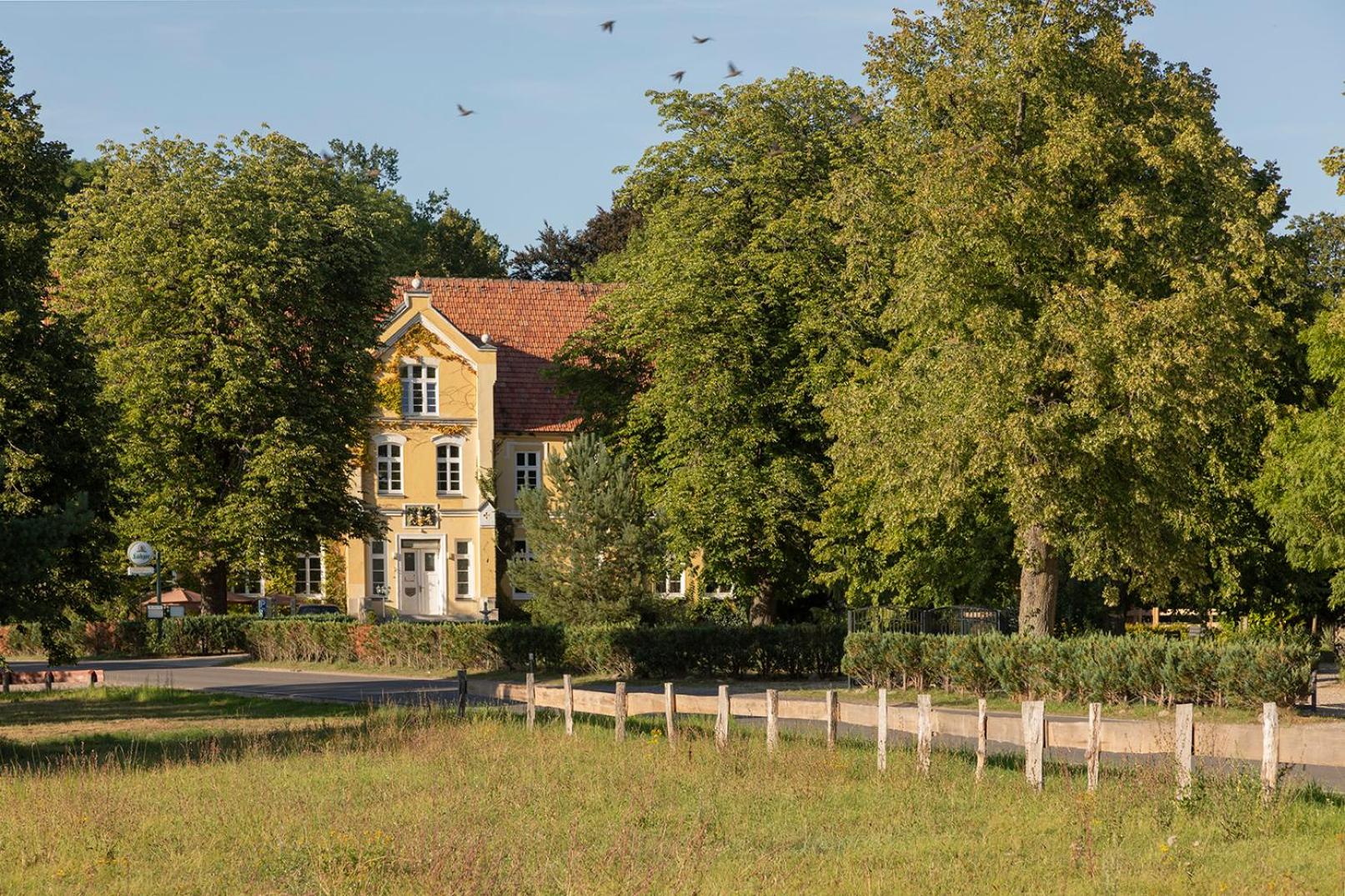 Naturnahes, neu eingerichtetes Apartment mit 1 Schlafzimmer