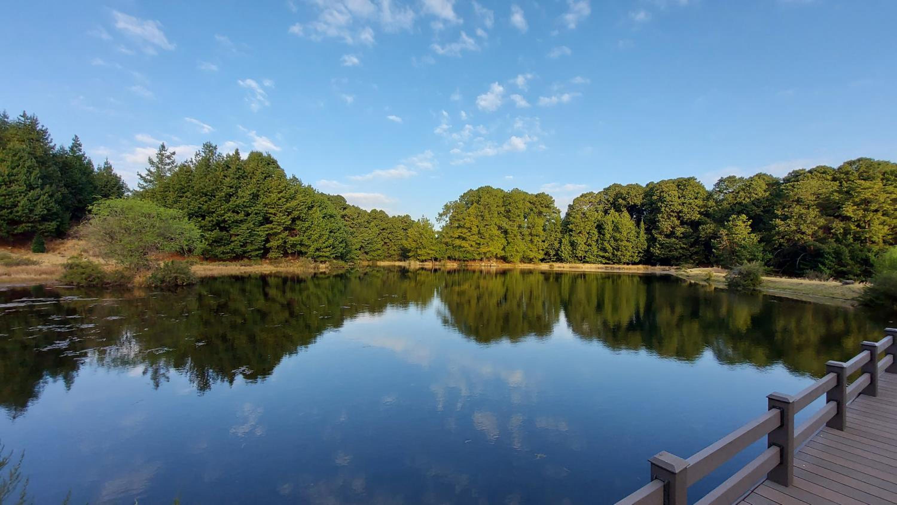 Lake House view 5