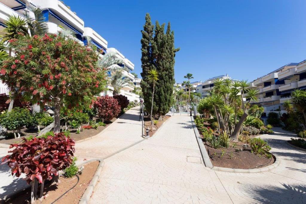 Apartamento en Los Cristianos urb.Playa Graciosa