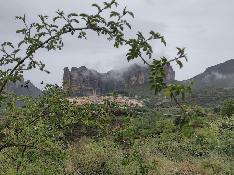El Desván del Campanero apartamento con jardín view 3