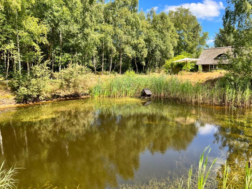Ferienhaus in idyllischer Lage - Ankommen & durchatmen