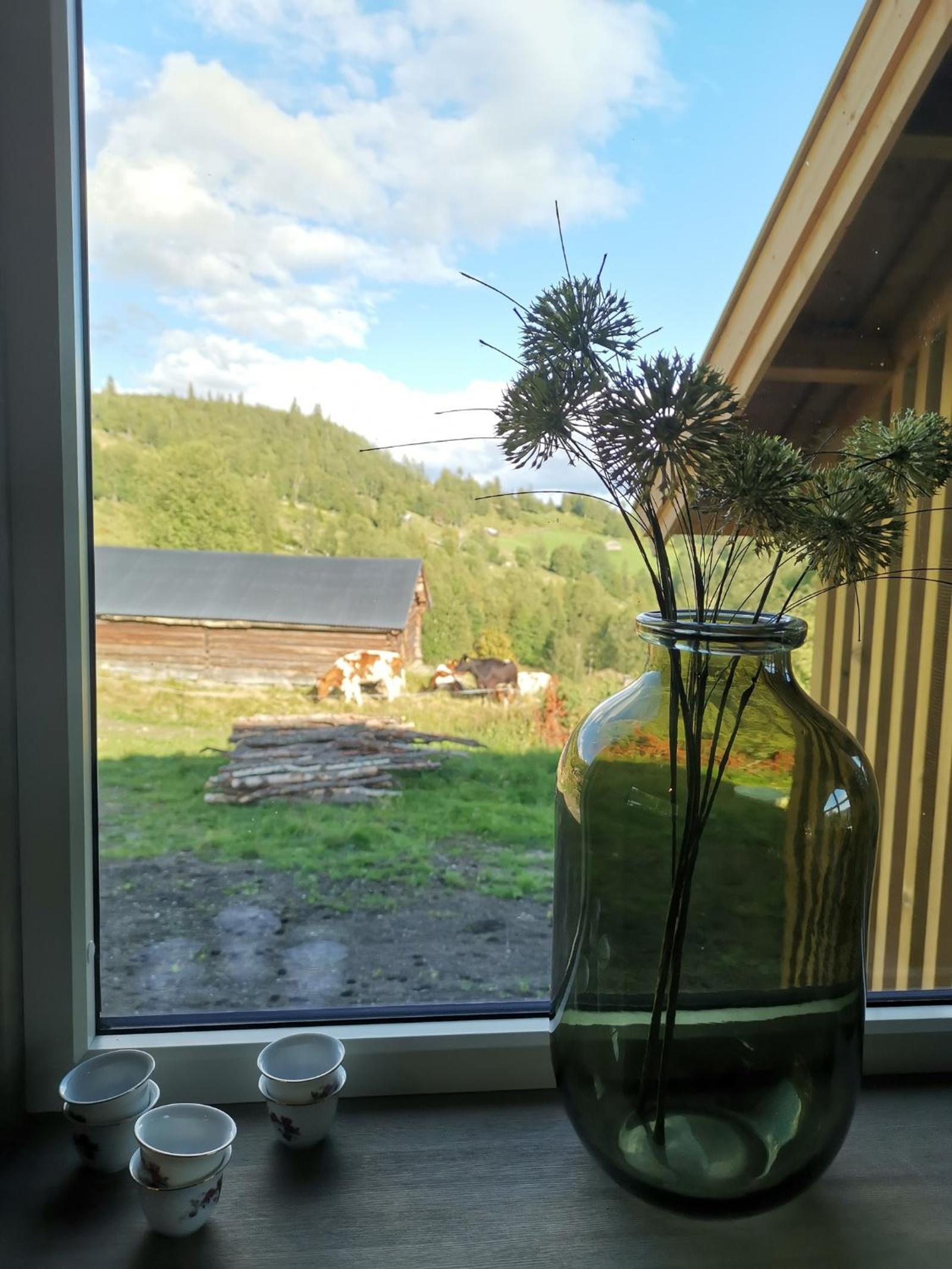 Photo 21