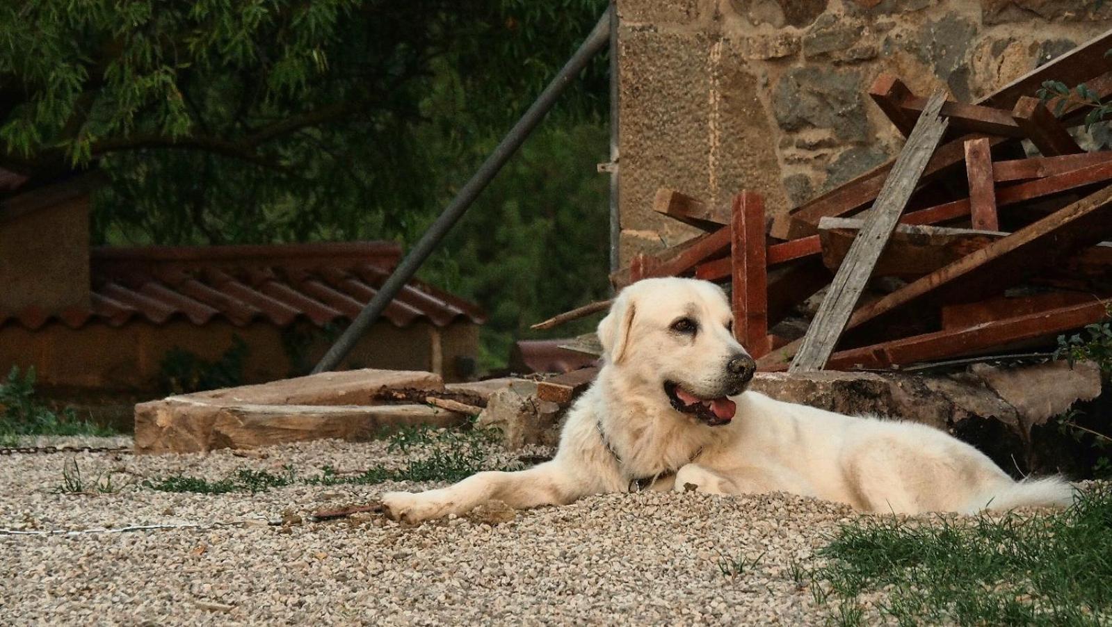 Masia La Clariana