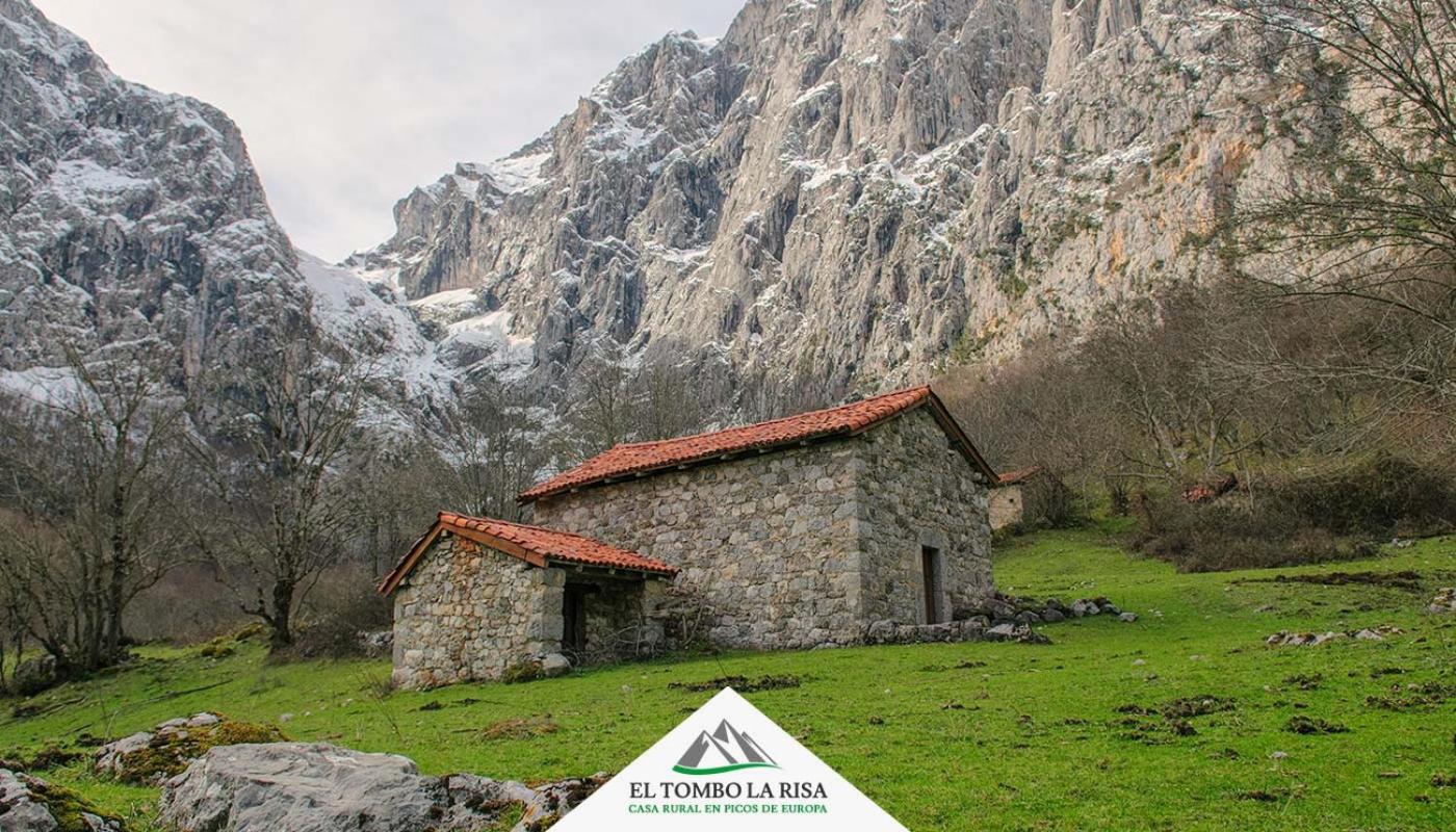 Casa Rural El Tombo la Risa view 2