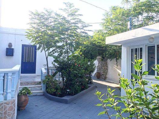 Iris Studios photo 2