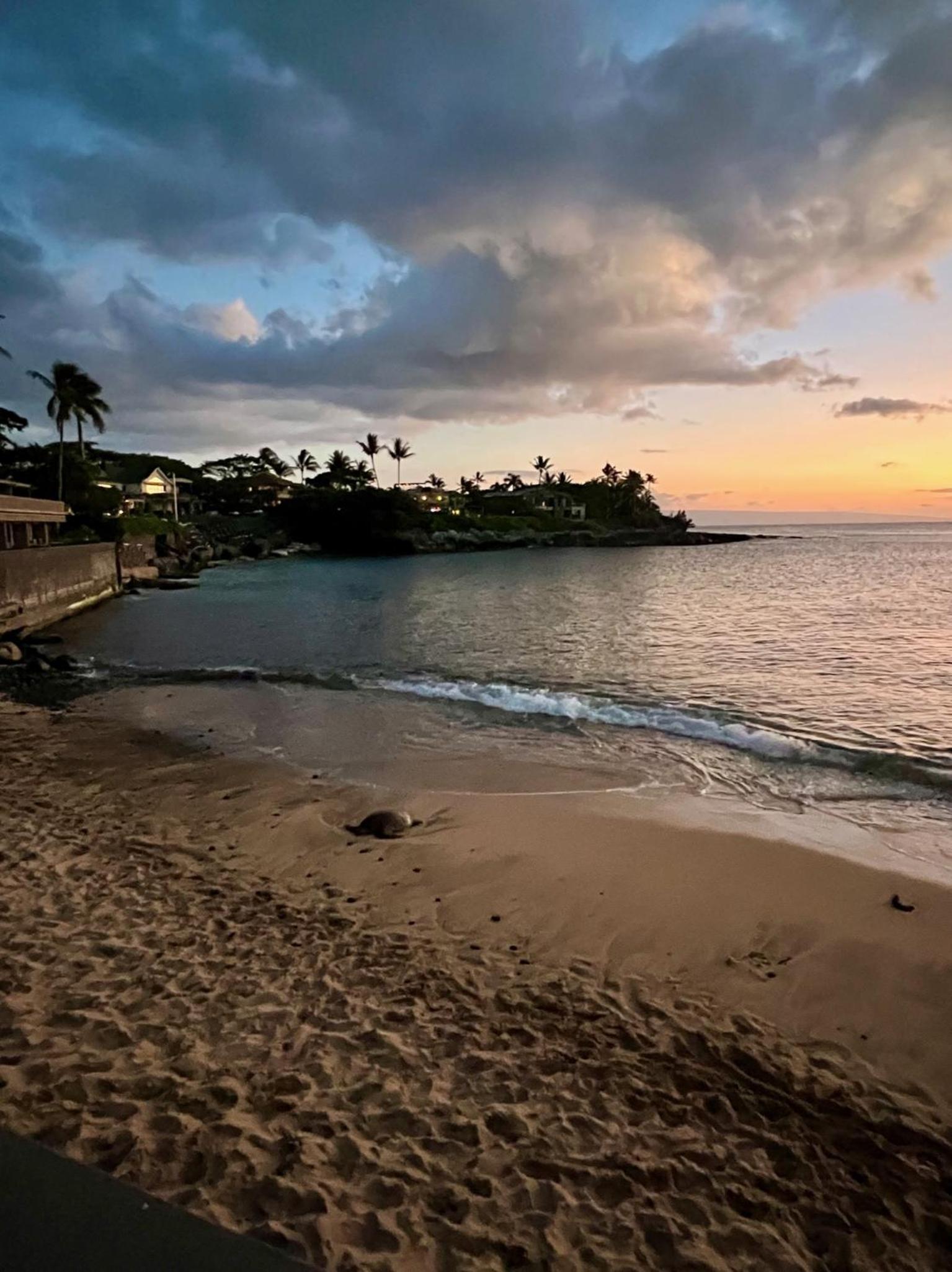 Kahana Sunset C7 condo