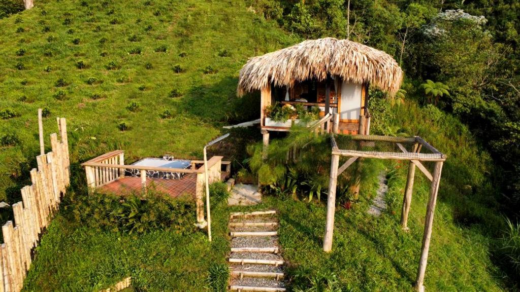 Eco Hotel Glamping El Silencio view 5