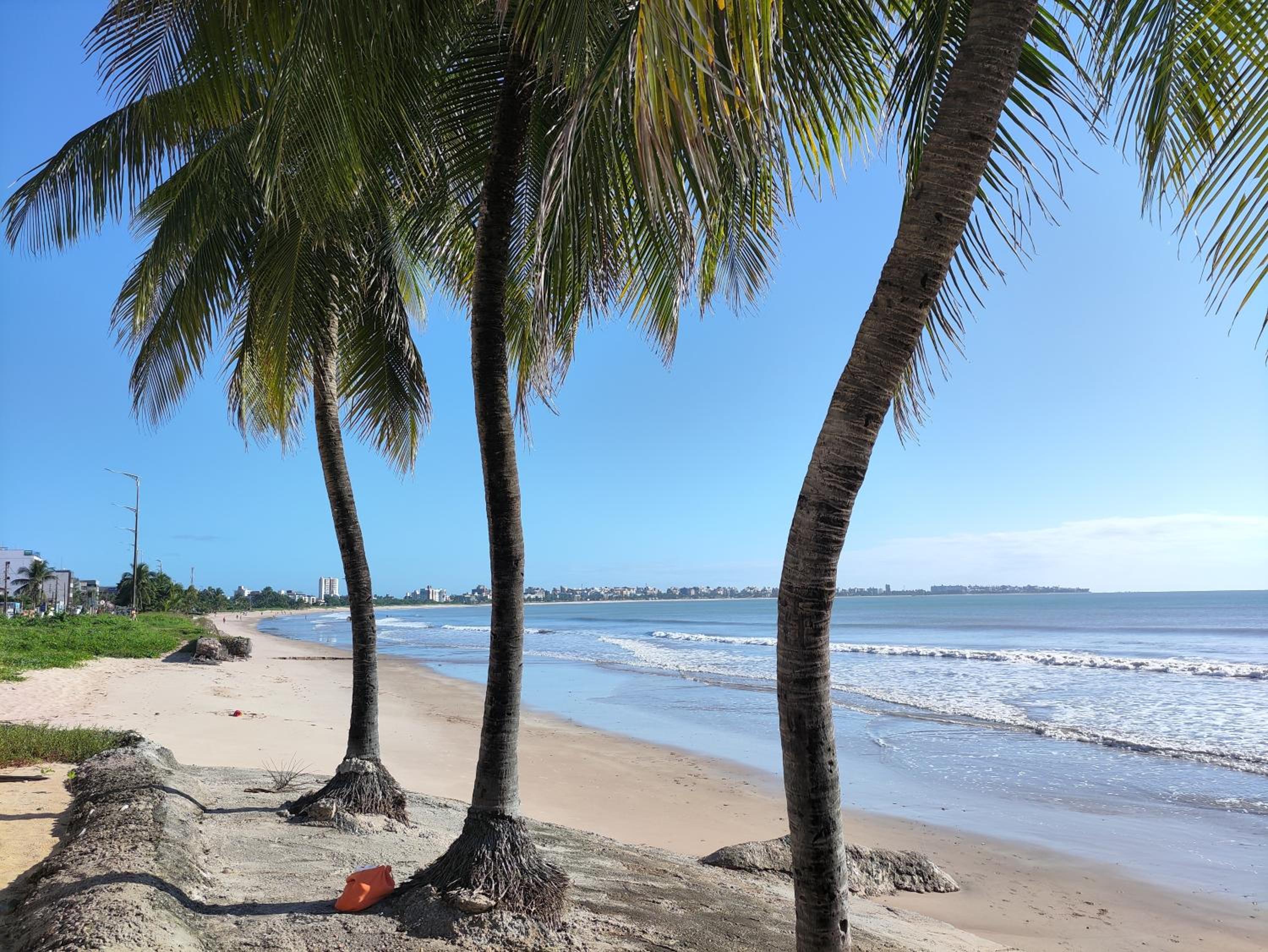 Flat Tropical Caribessa
