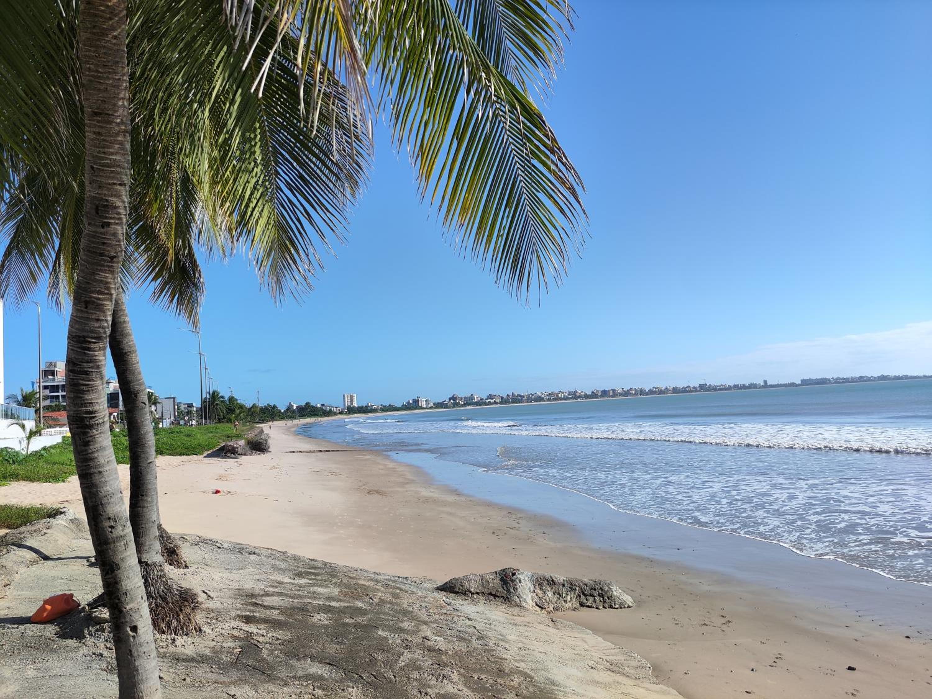 Flat Tropical Caribessa