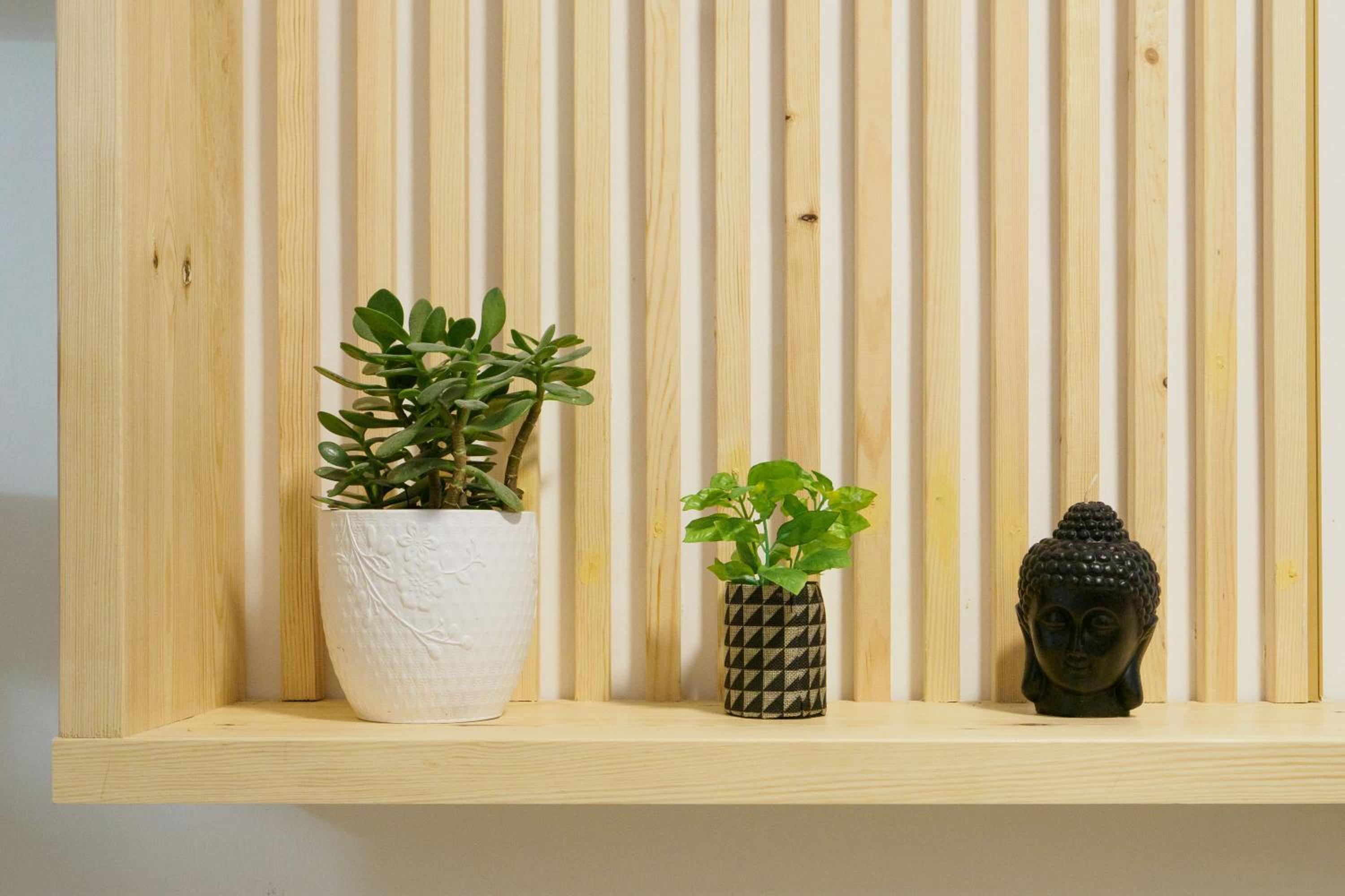 Athenian central Studio with Garden!