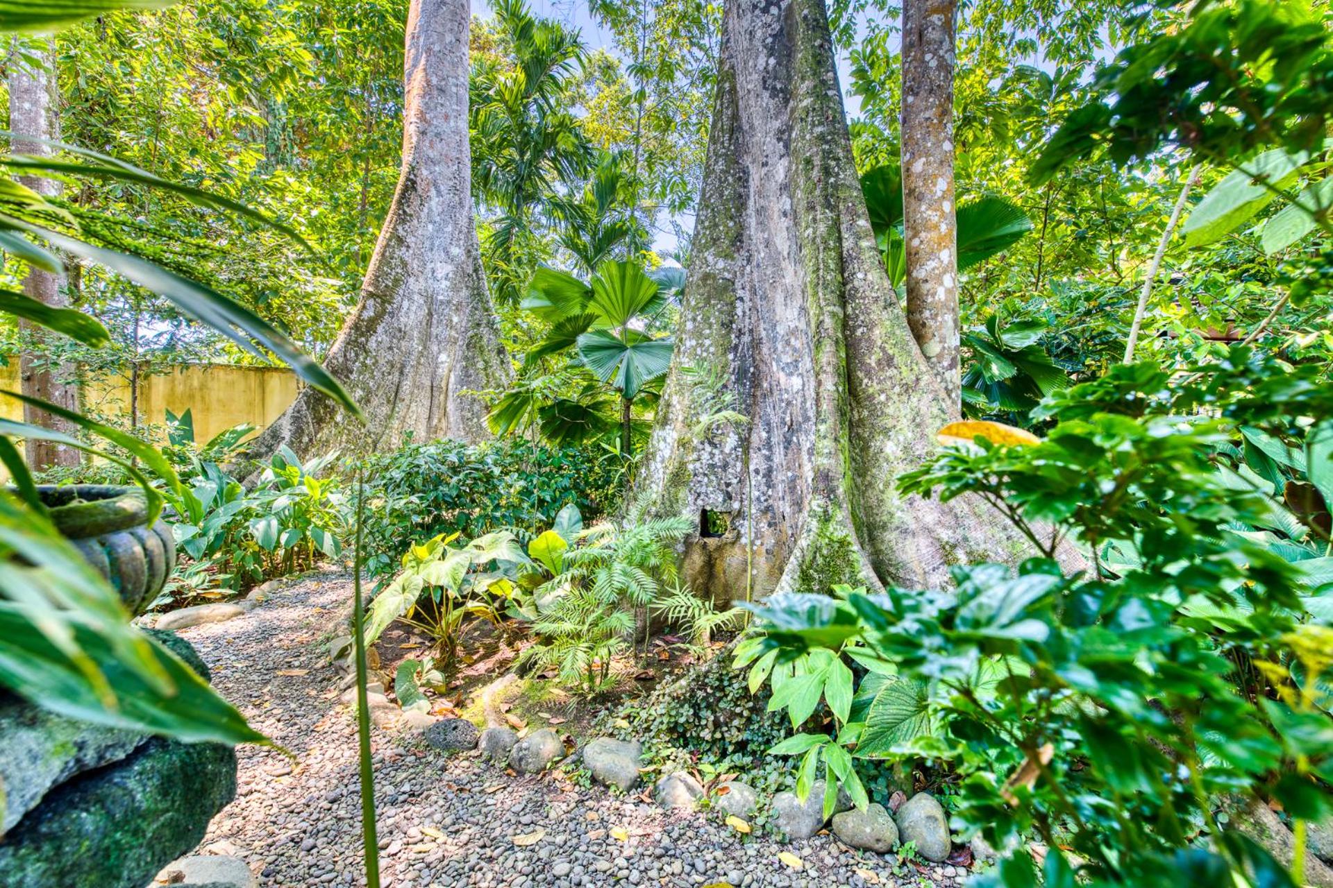Villas Piña - Adults only