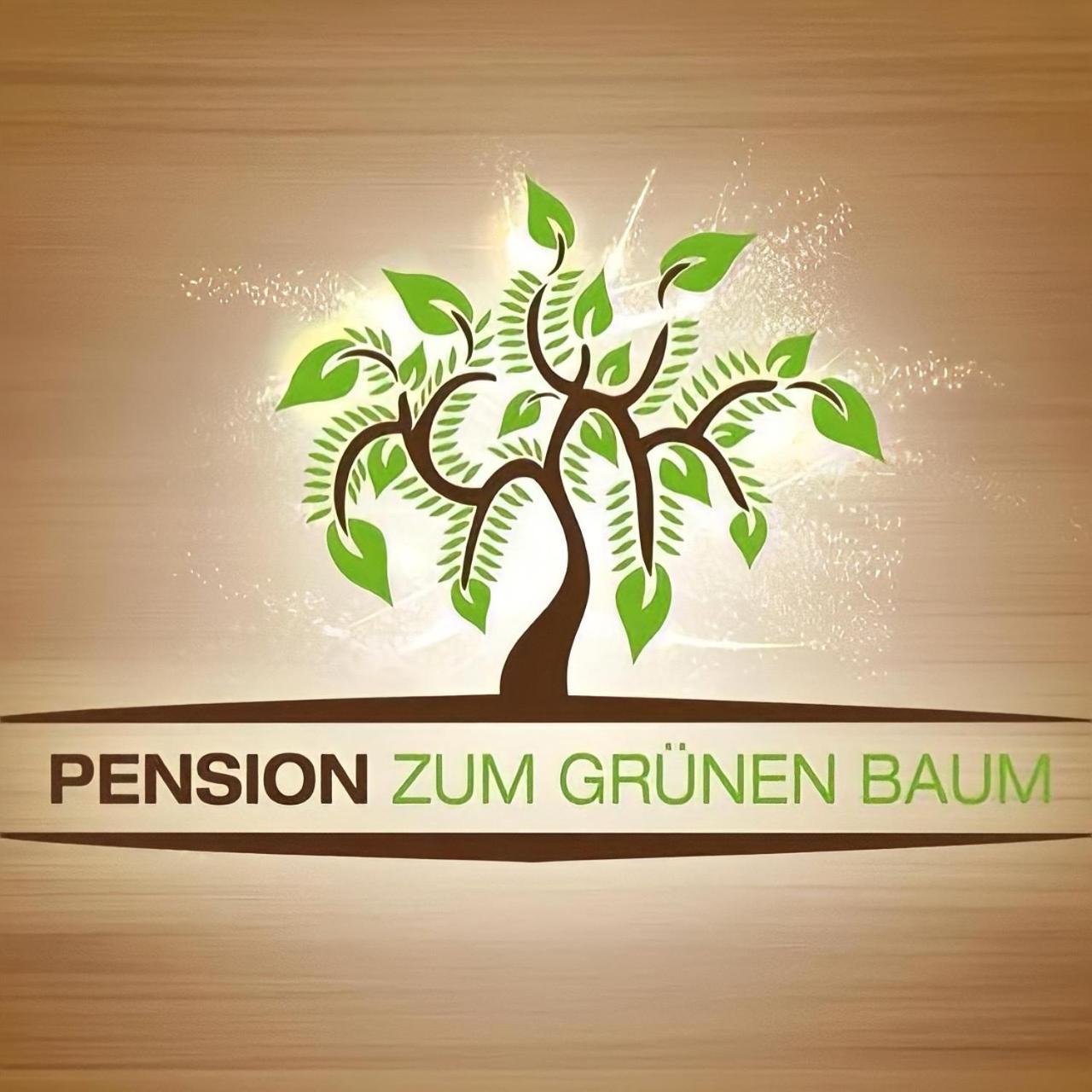 Europa Pension zum Grünen Baum