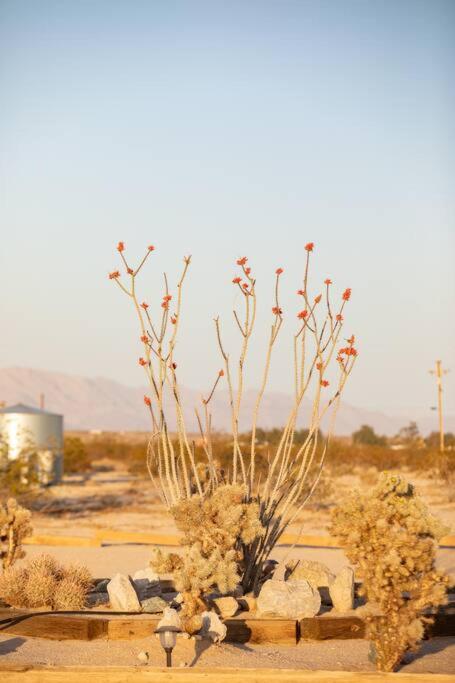 Sun Runner - Serene desert home w/pool & hot tub view 5