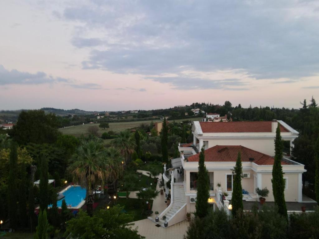 Photo 10