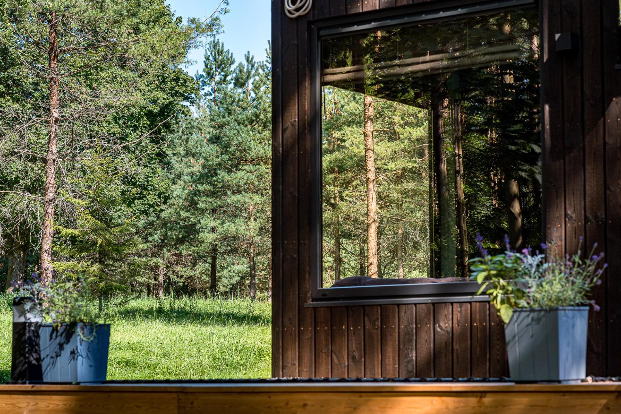 BRENDIS -'Virš Ąžuolų' - Forest SPA - FREE jacuzzi
