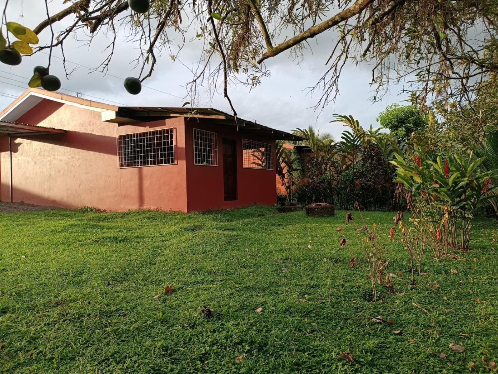Photo 6