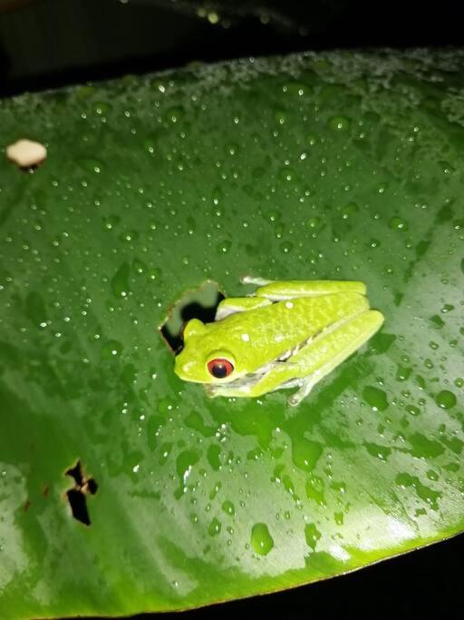 other