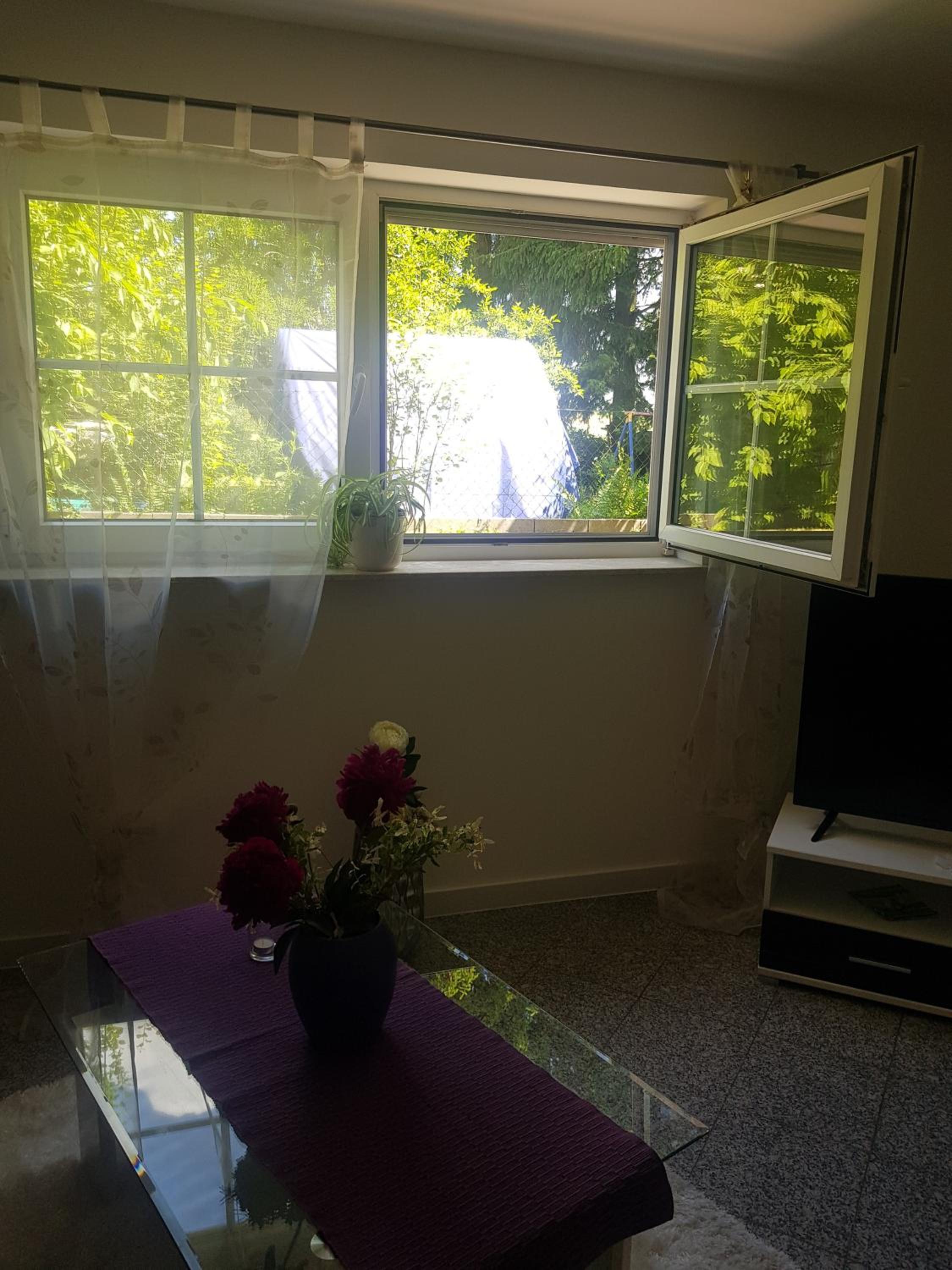 Wohnung Amely