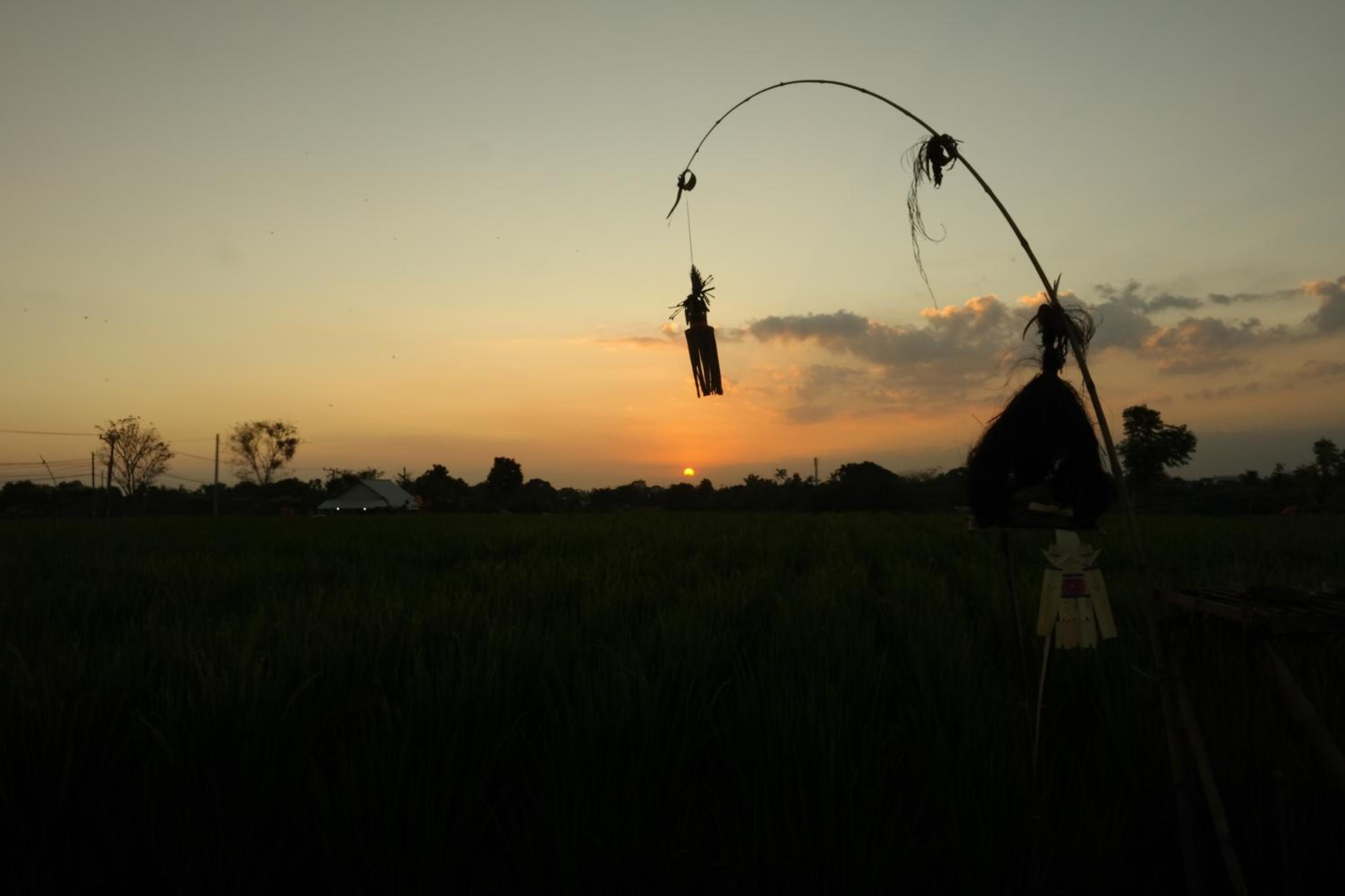 Timbis Homestay Bali