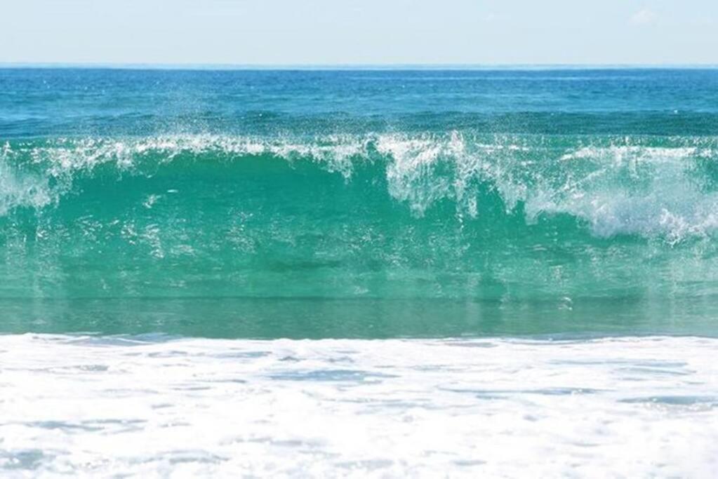 2203 The Wave