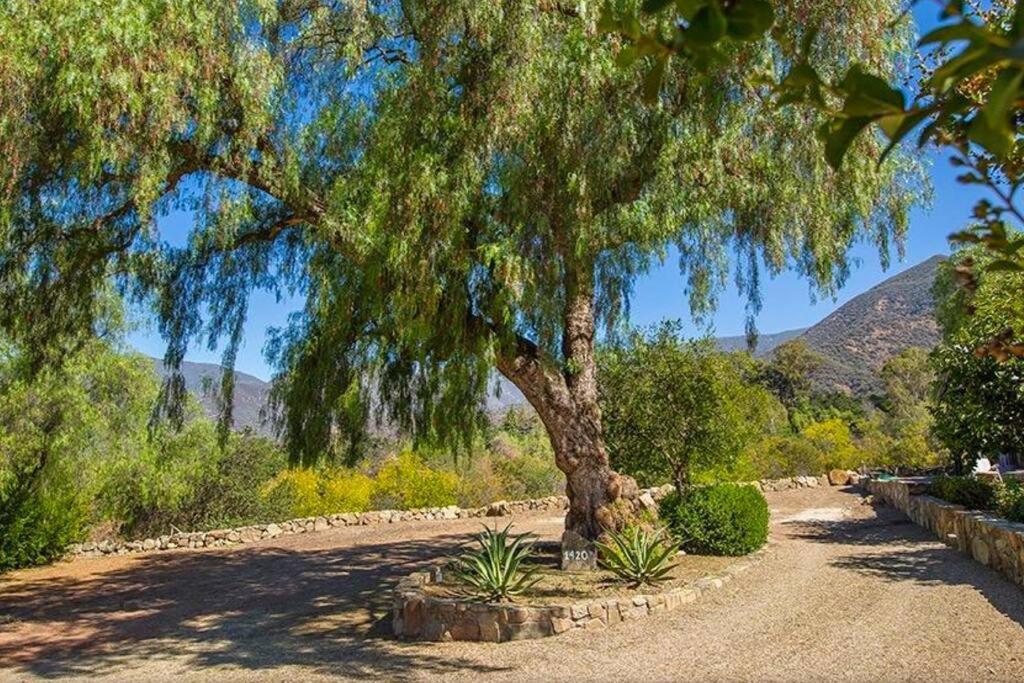 Ojai Vacations - Casa A'way Stunning Ojai Bungalow w/ pool sunset - Property Image 7