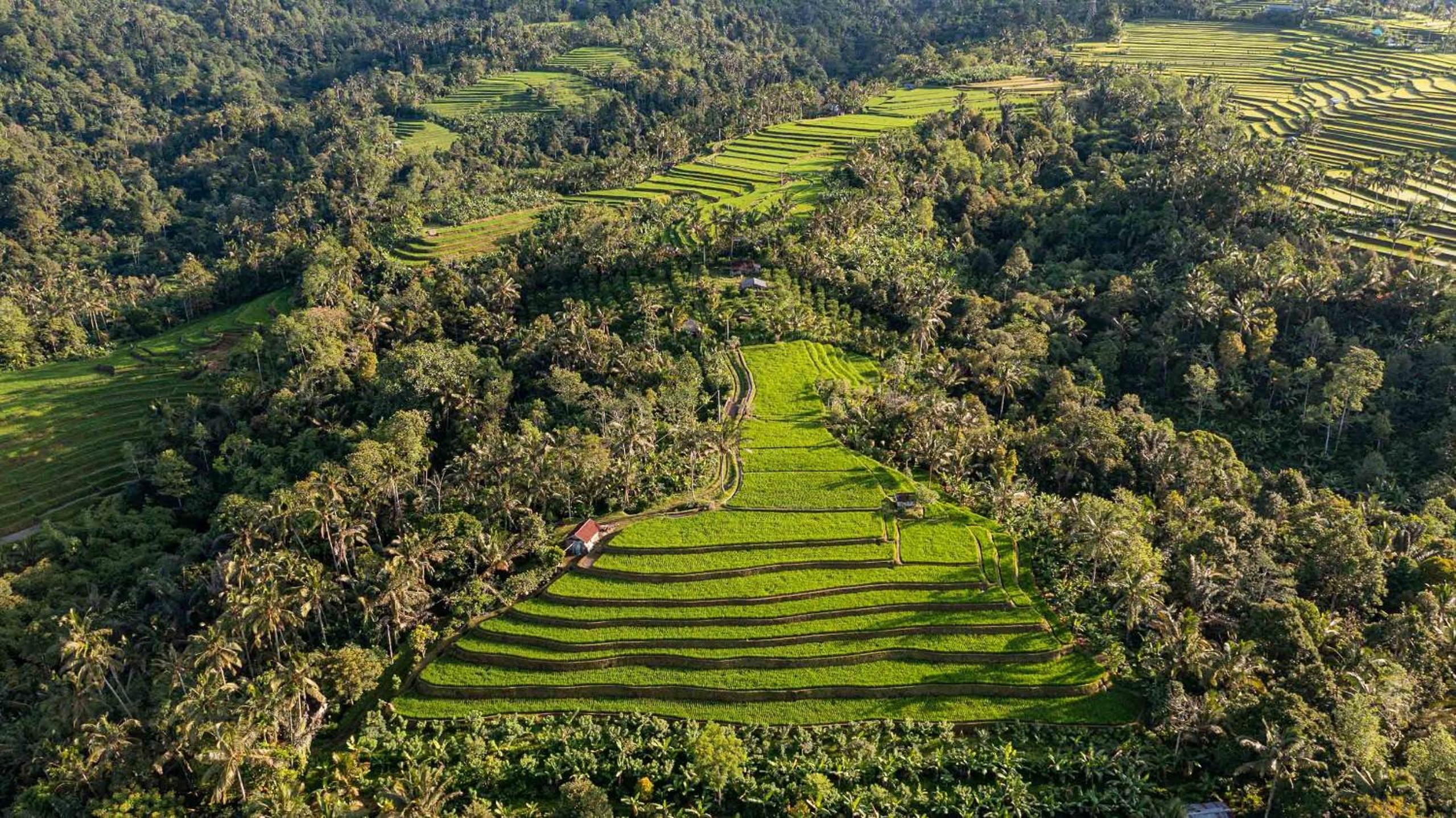 Sanda Plantation Hideaway view 5