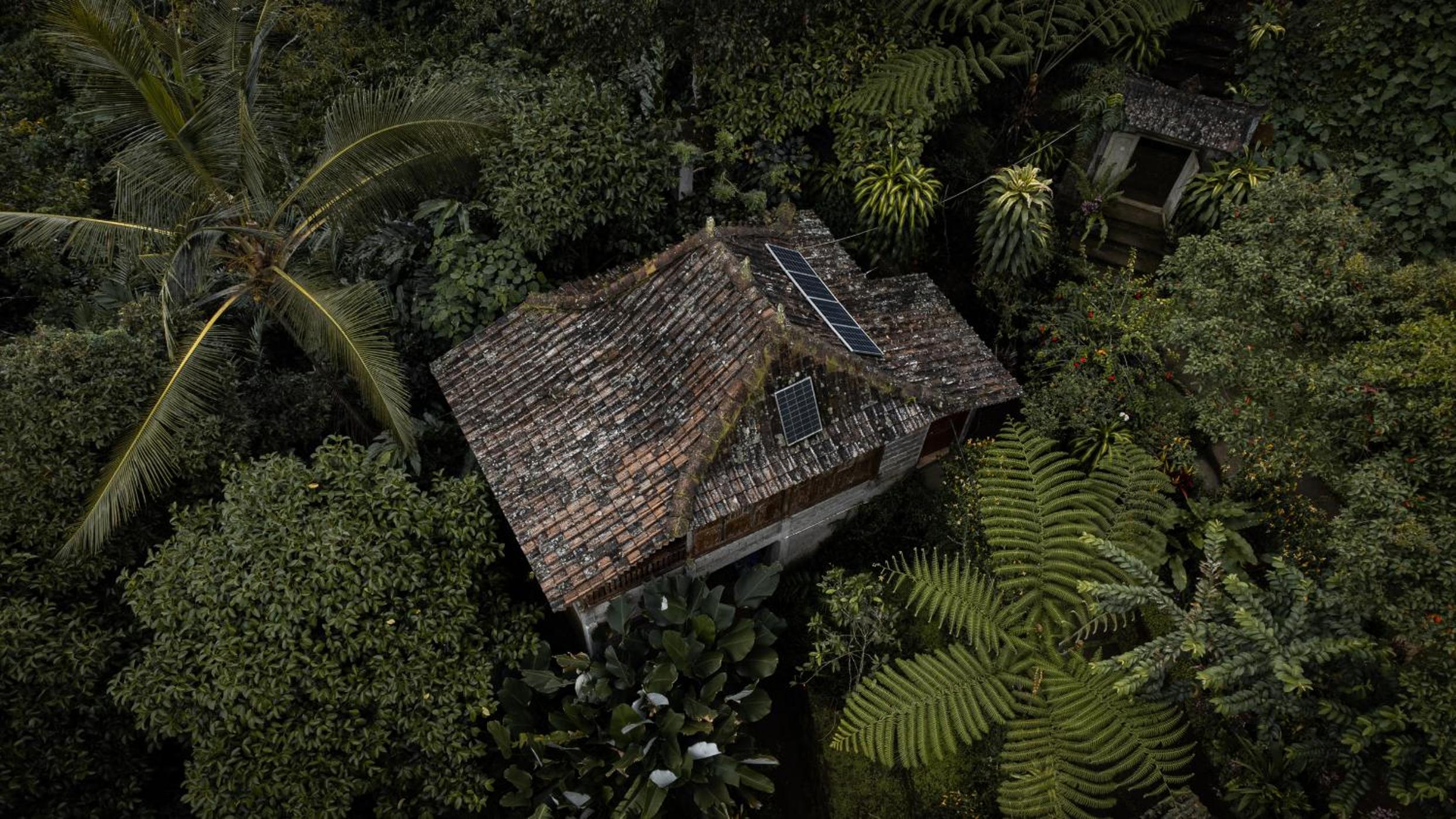 Bali Jungle Camping by Amerta Experience