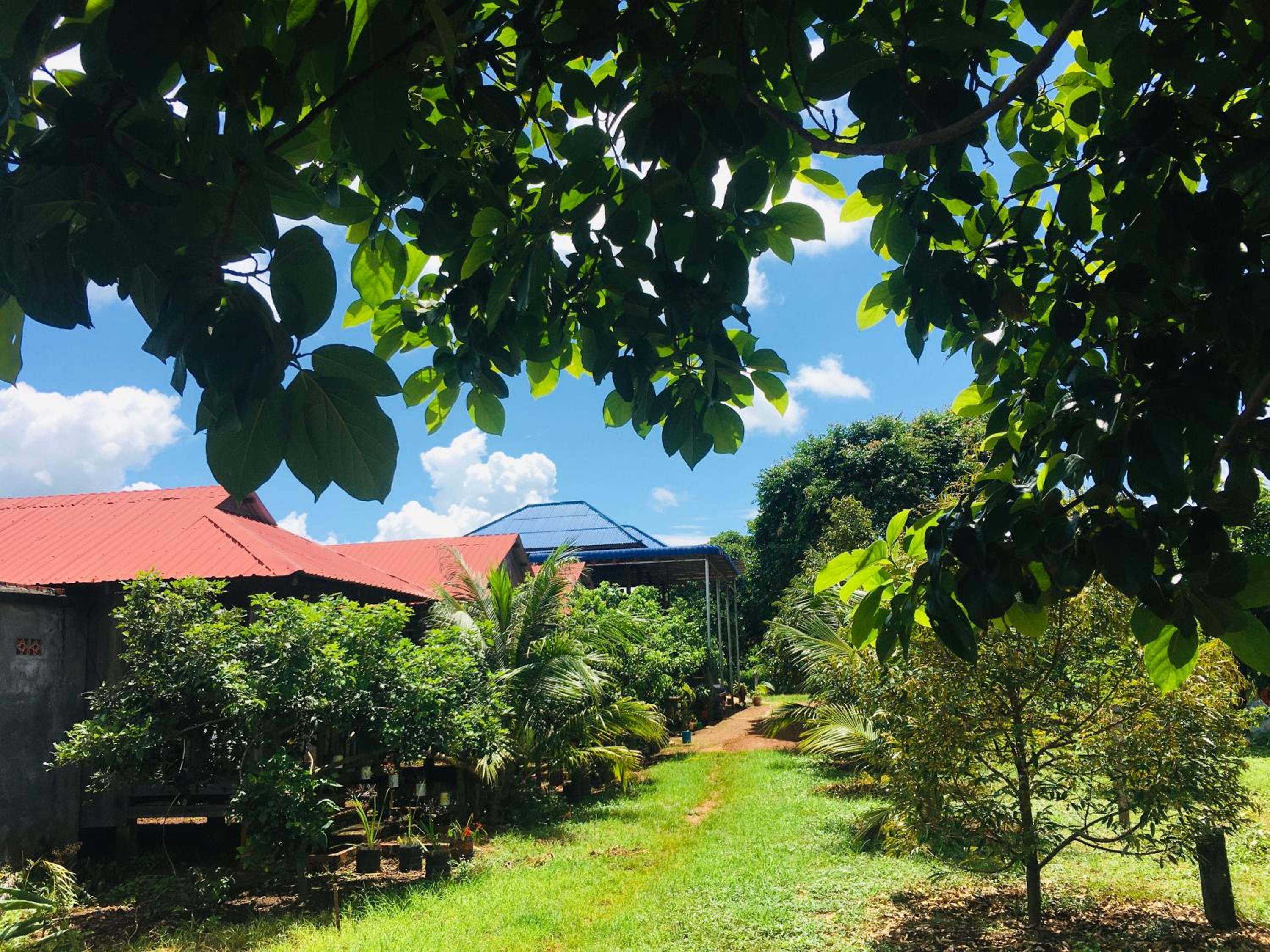 Ratanakiri Farmhouse & Trekking view 2