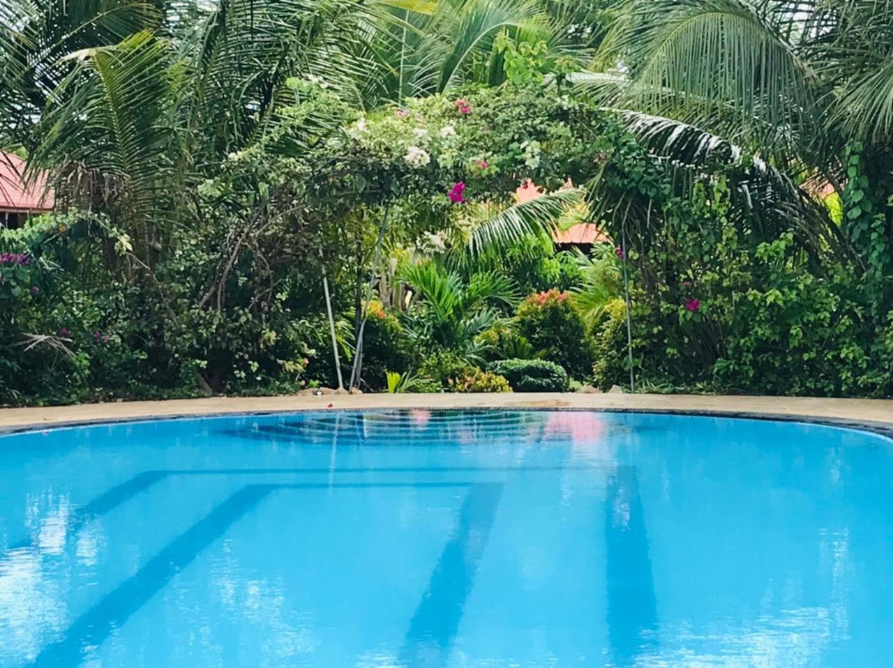 Hotel ITALIAN GUEST - Image 1