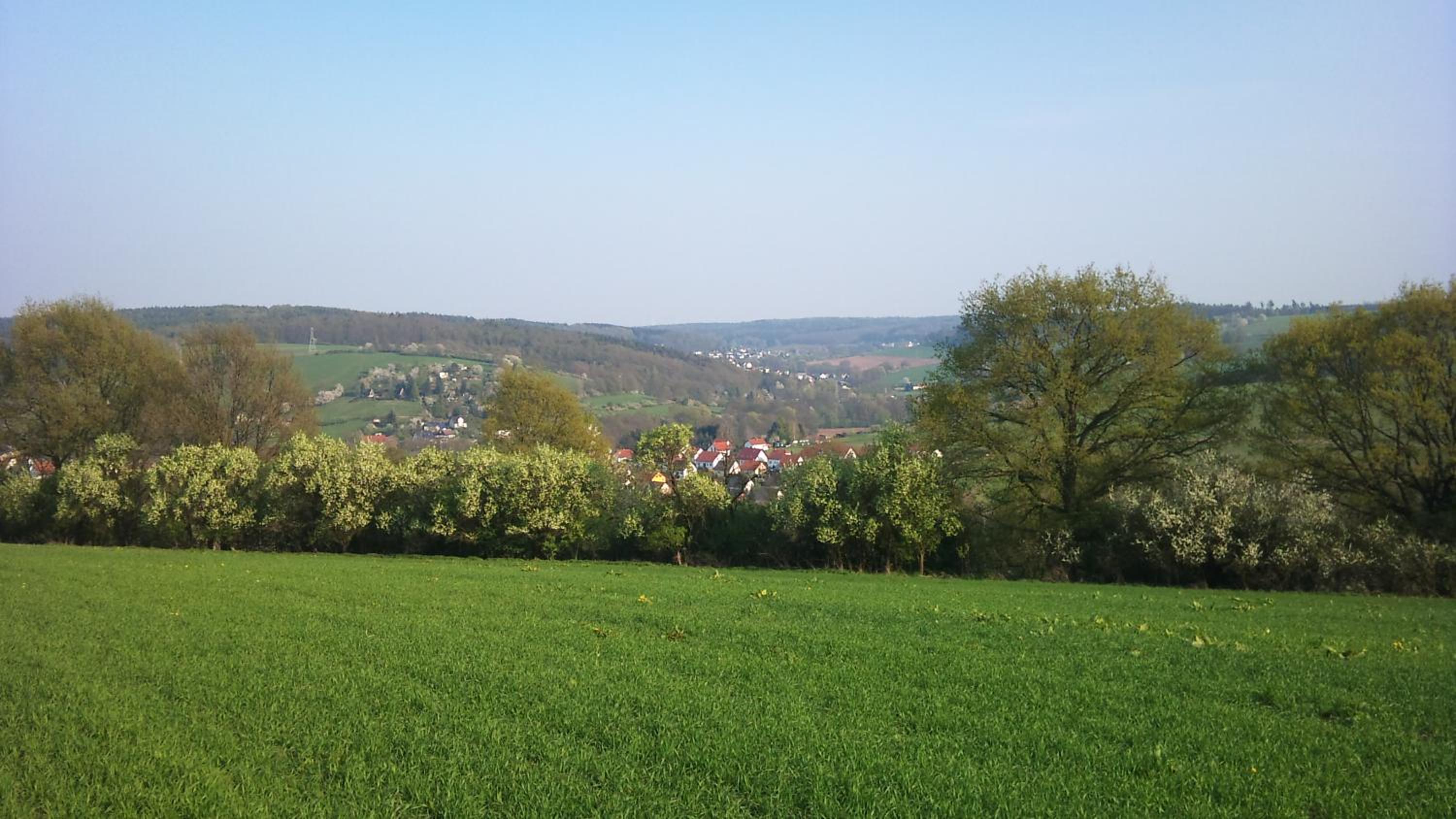 Gasthof und Pension Frankenthal - garni