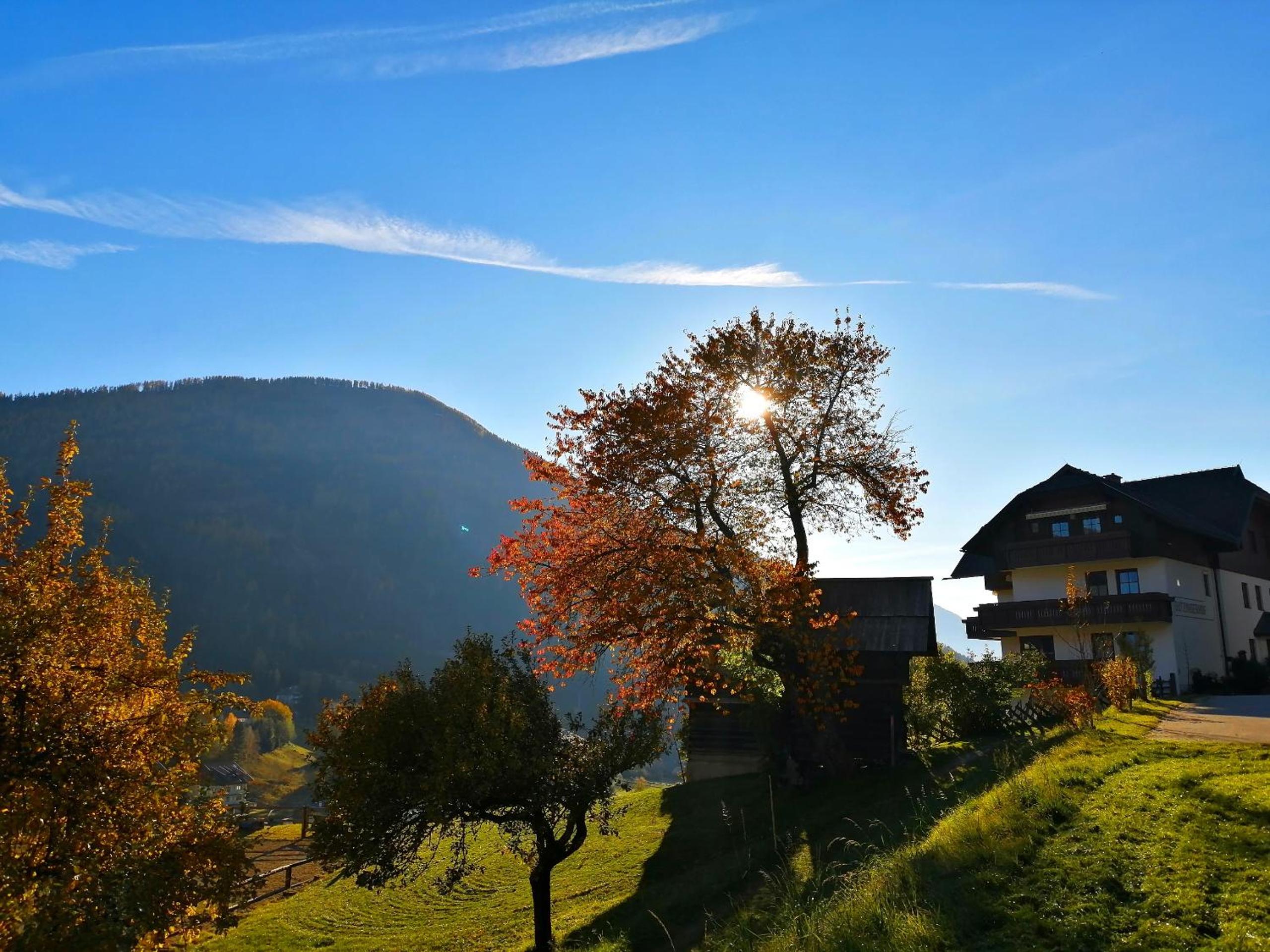 Gutzingerhof