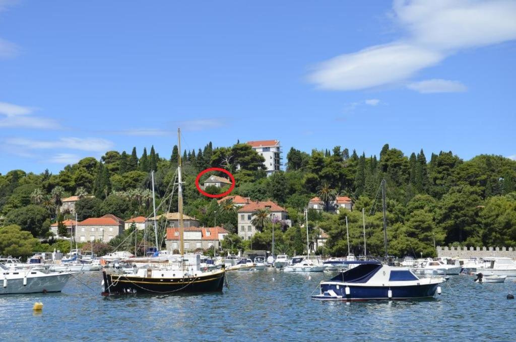 Hotel Peaceful house in Dubrovnik - Image 1