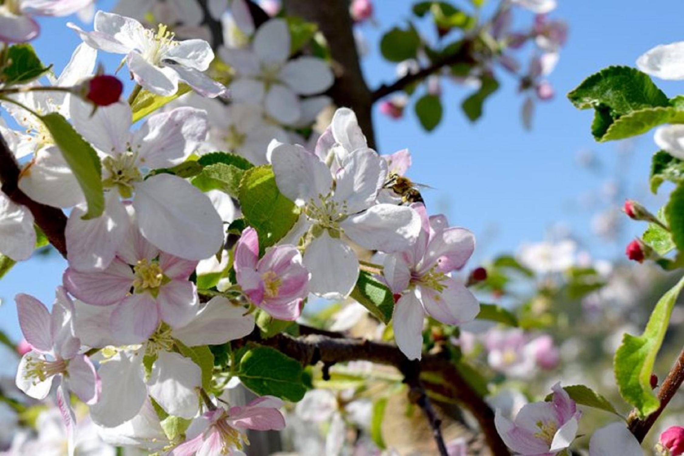 Unterfrickhof en Owingen