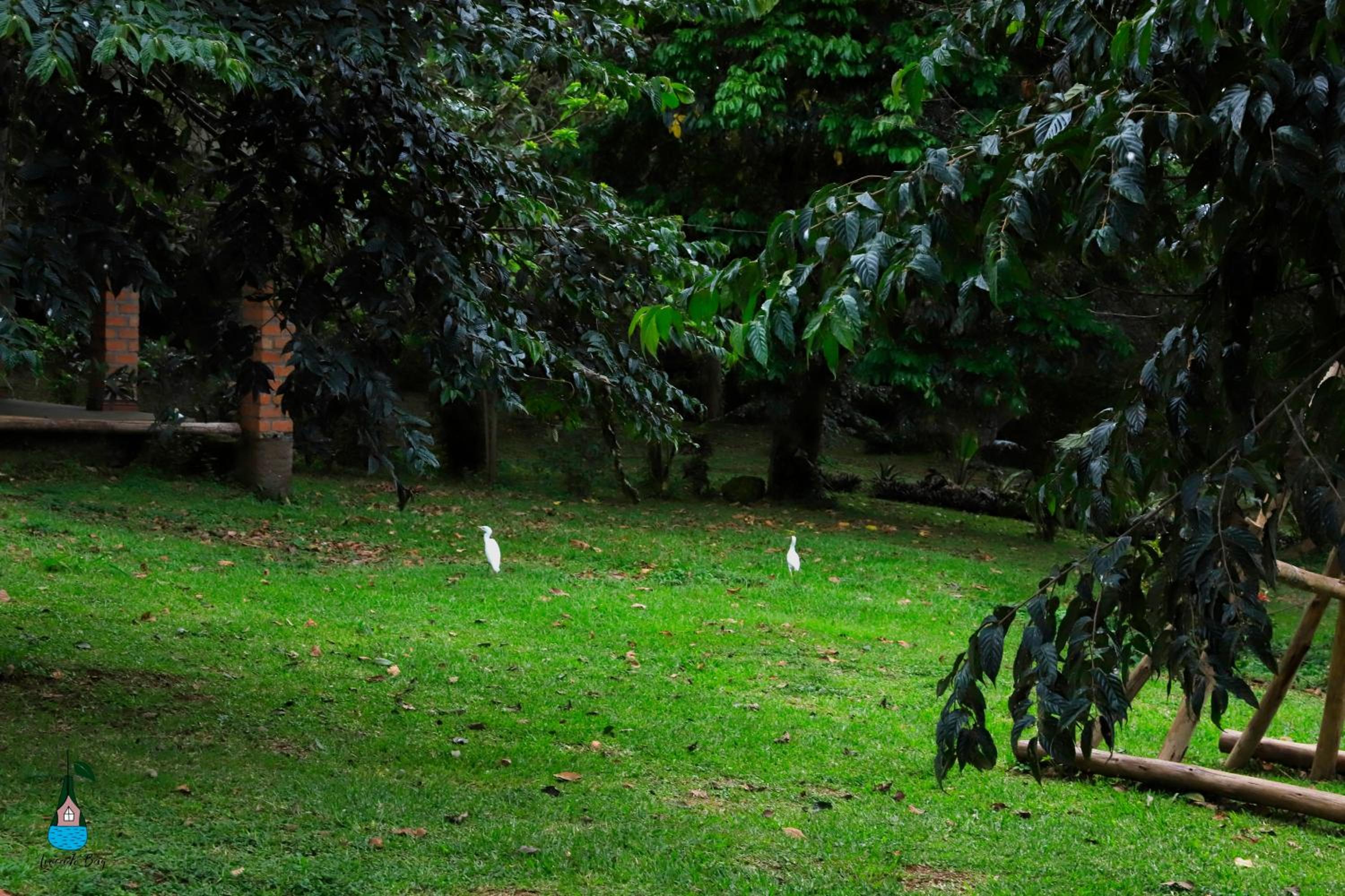 Photo 42
