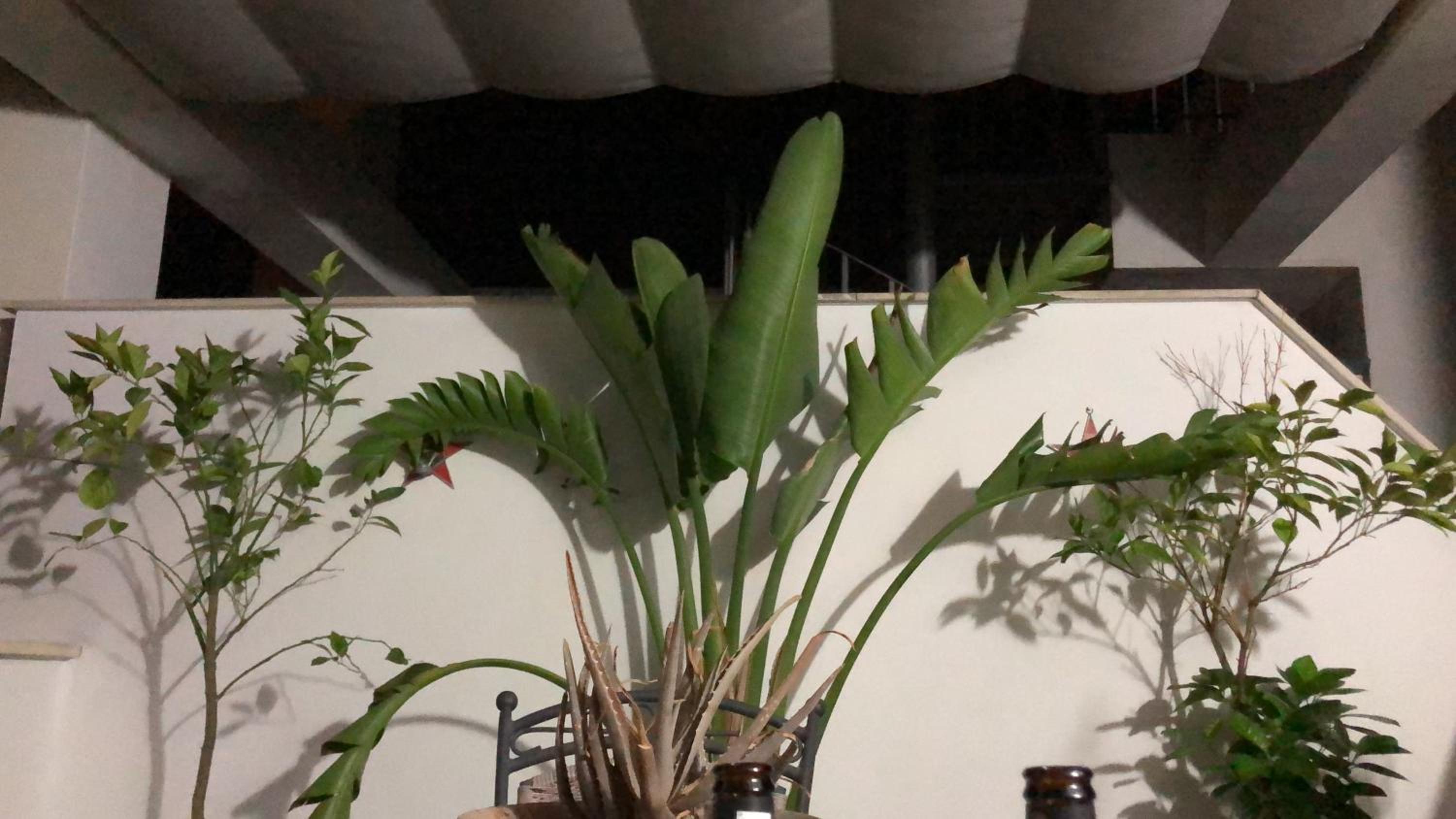 Casa Caminito del Rey photo 3