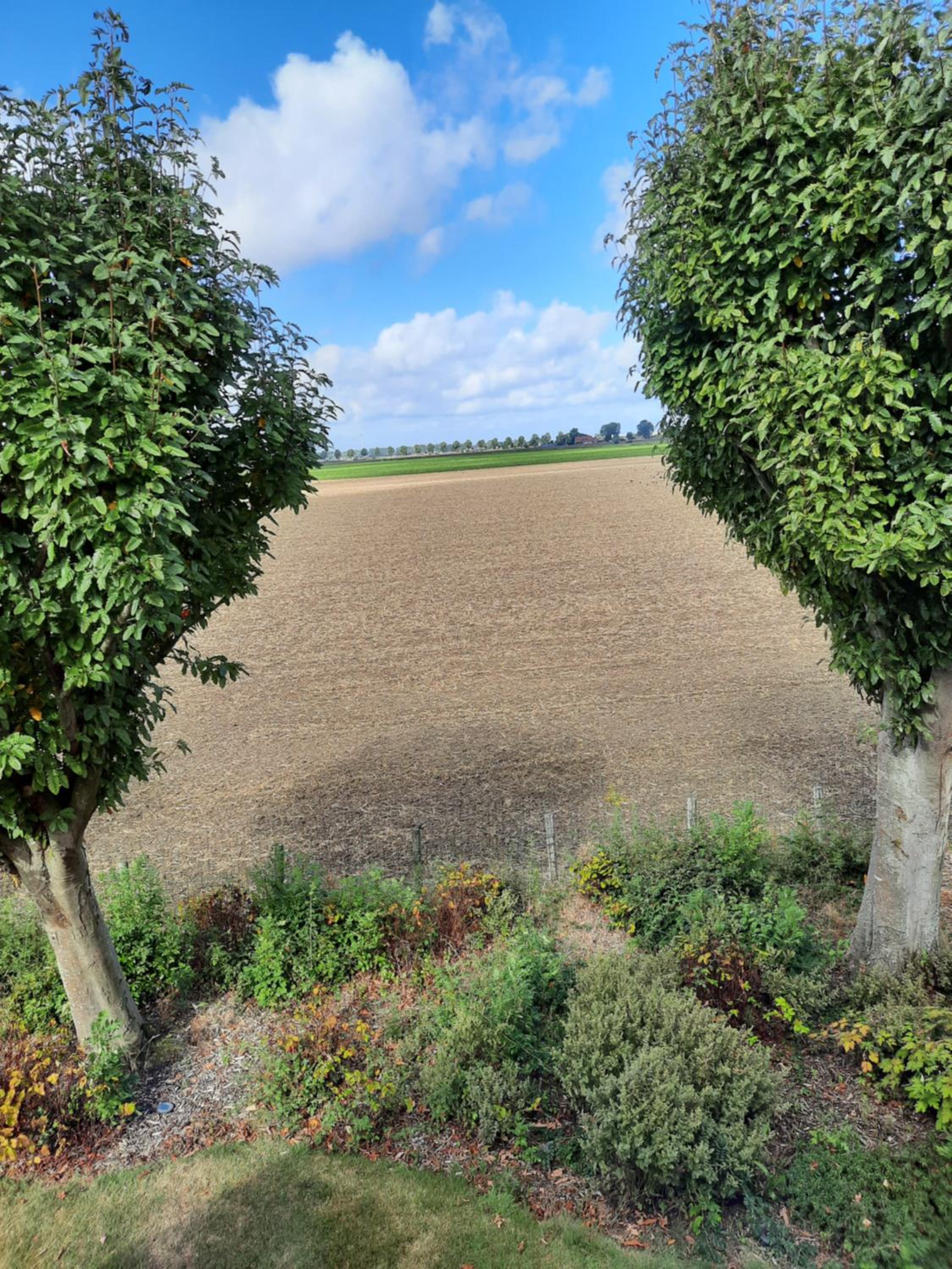 other