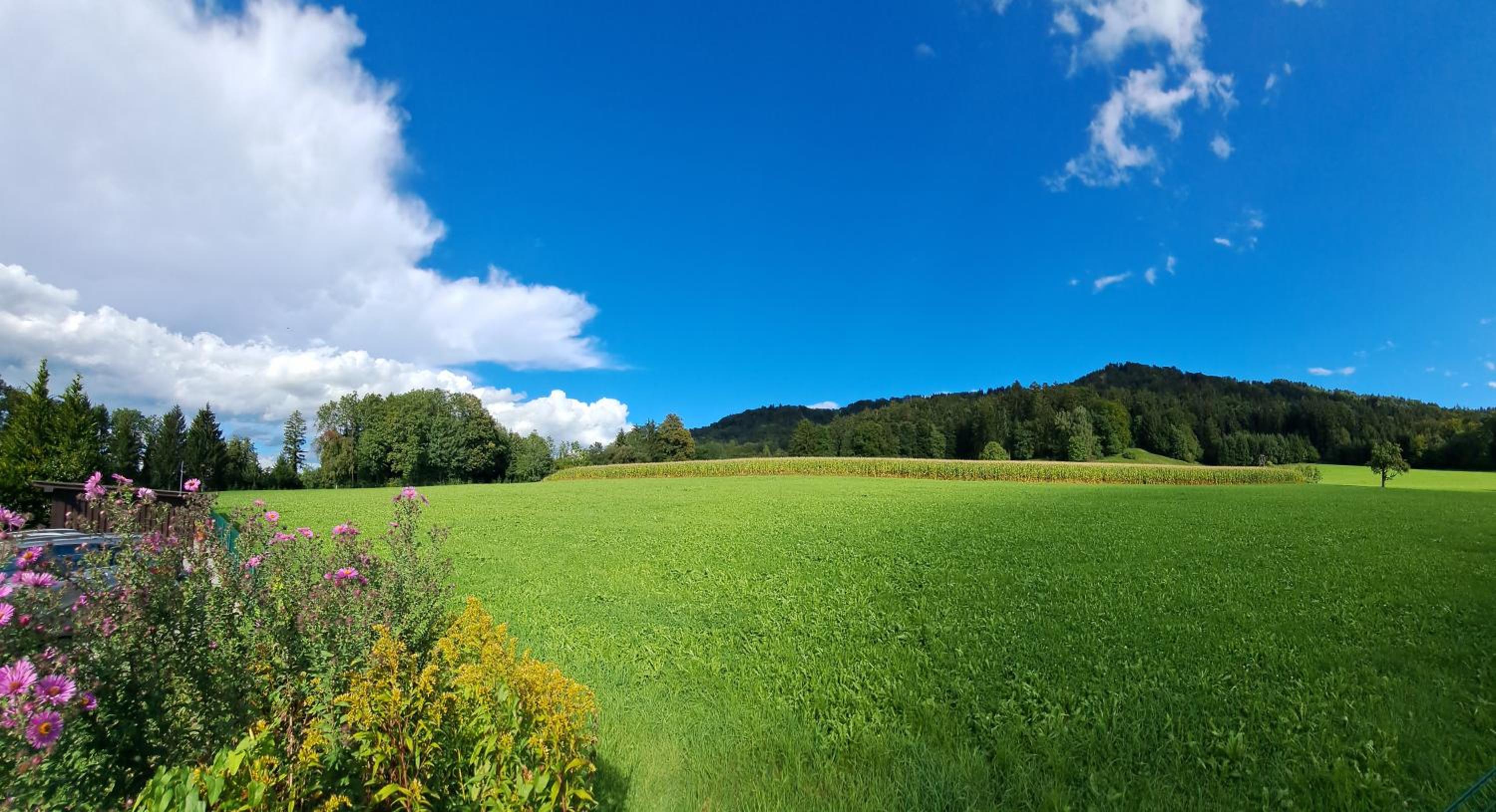 Pension Seeblick
