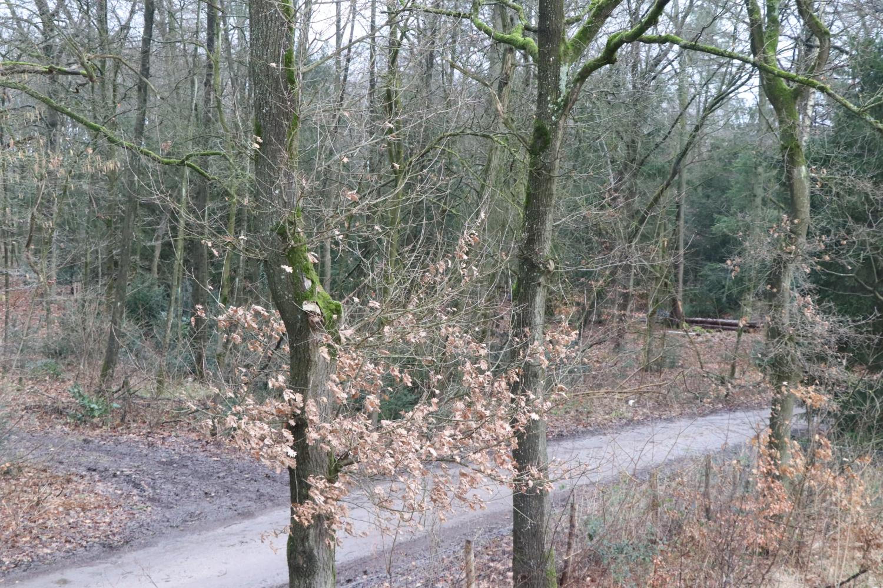 Photo 49