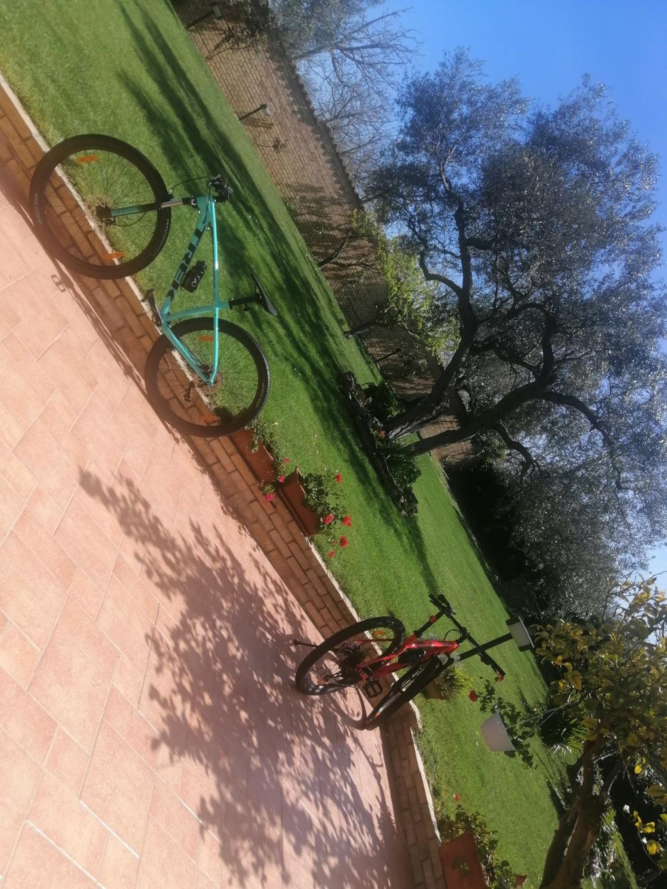 Photo 6