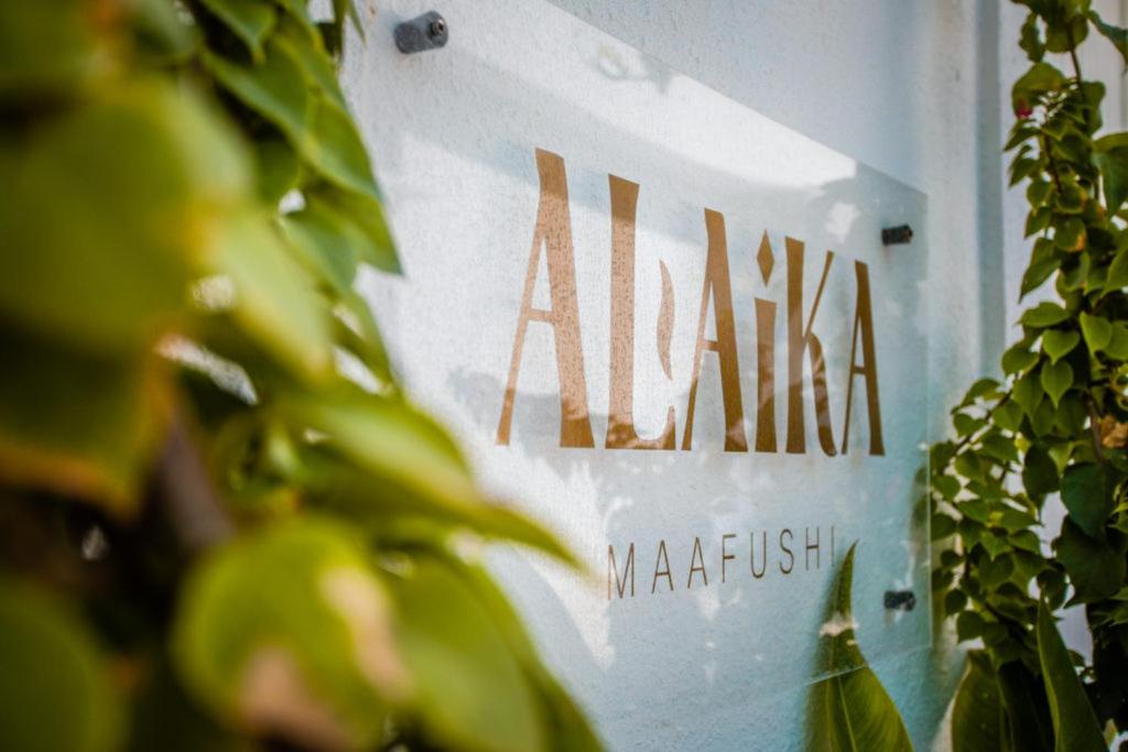 Alaika Maafushi — photo 19