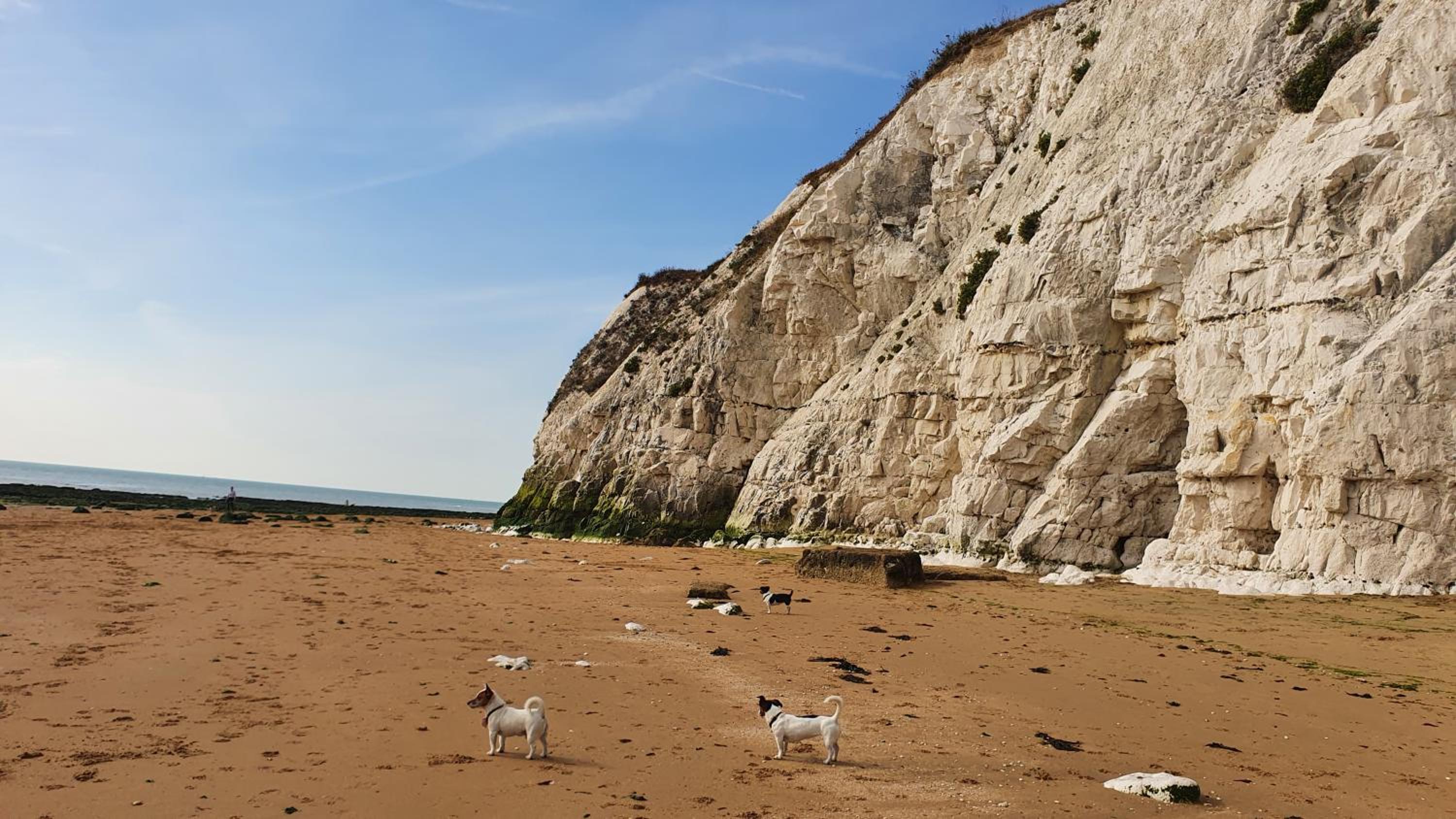 Ramsgate Vacations - Marina Place - Property Image 3