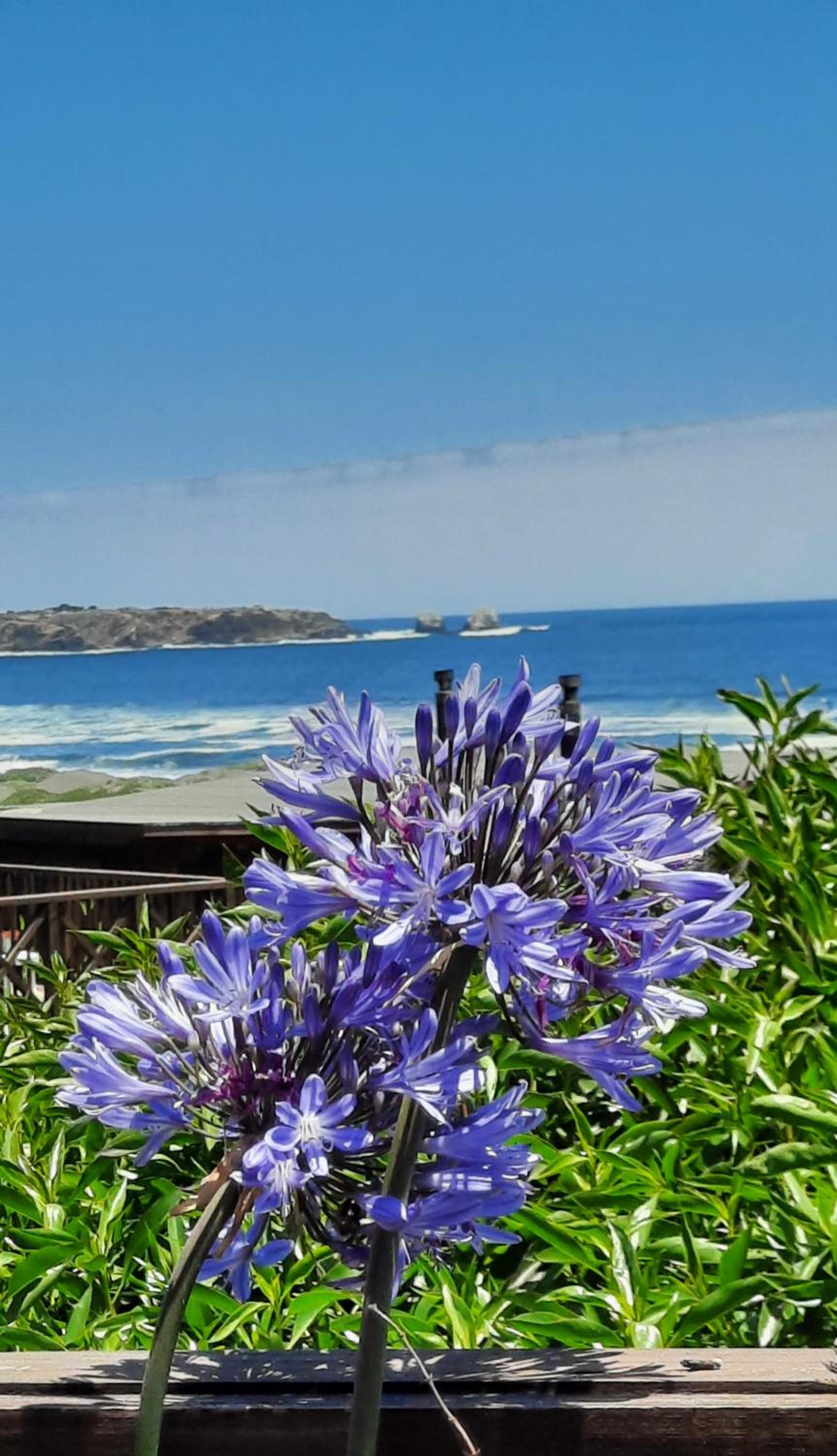 Morros House Pichilemu