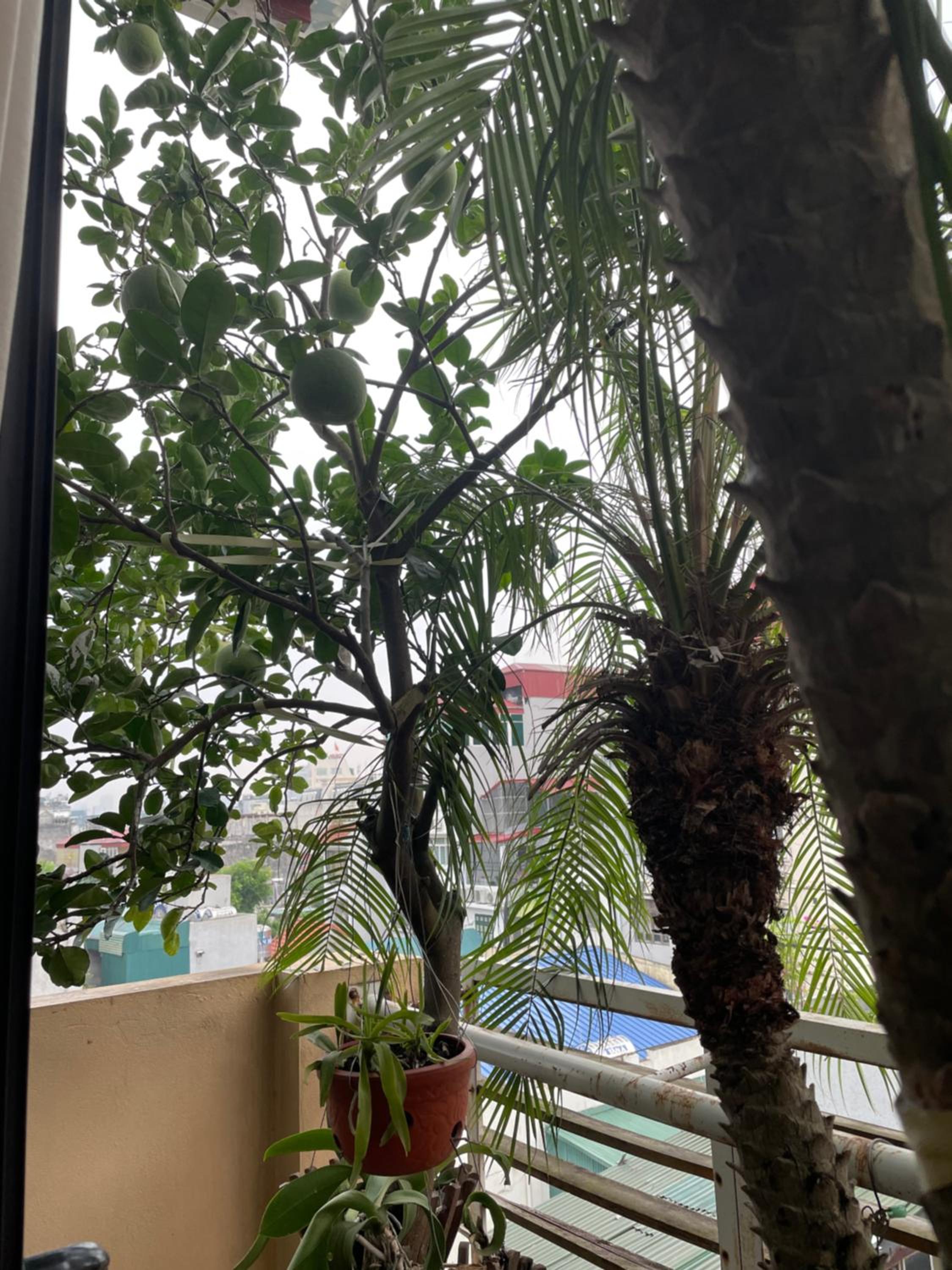 May Residence-800m from Opera House