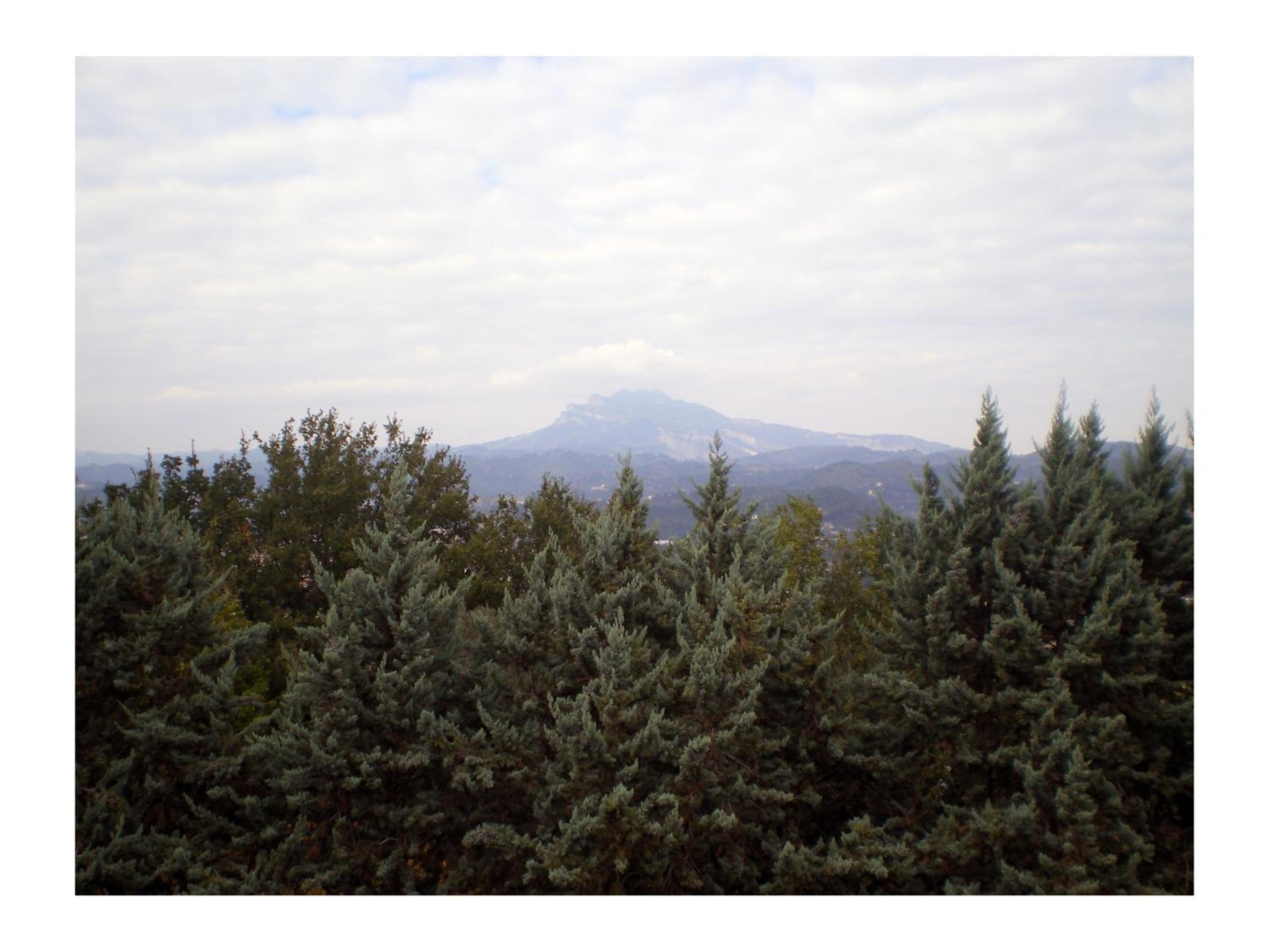 Photo 73