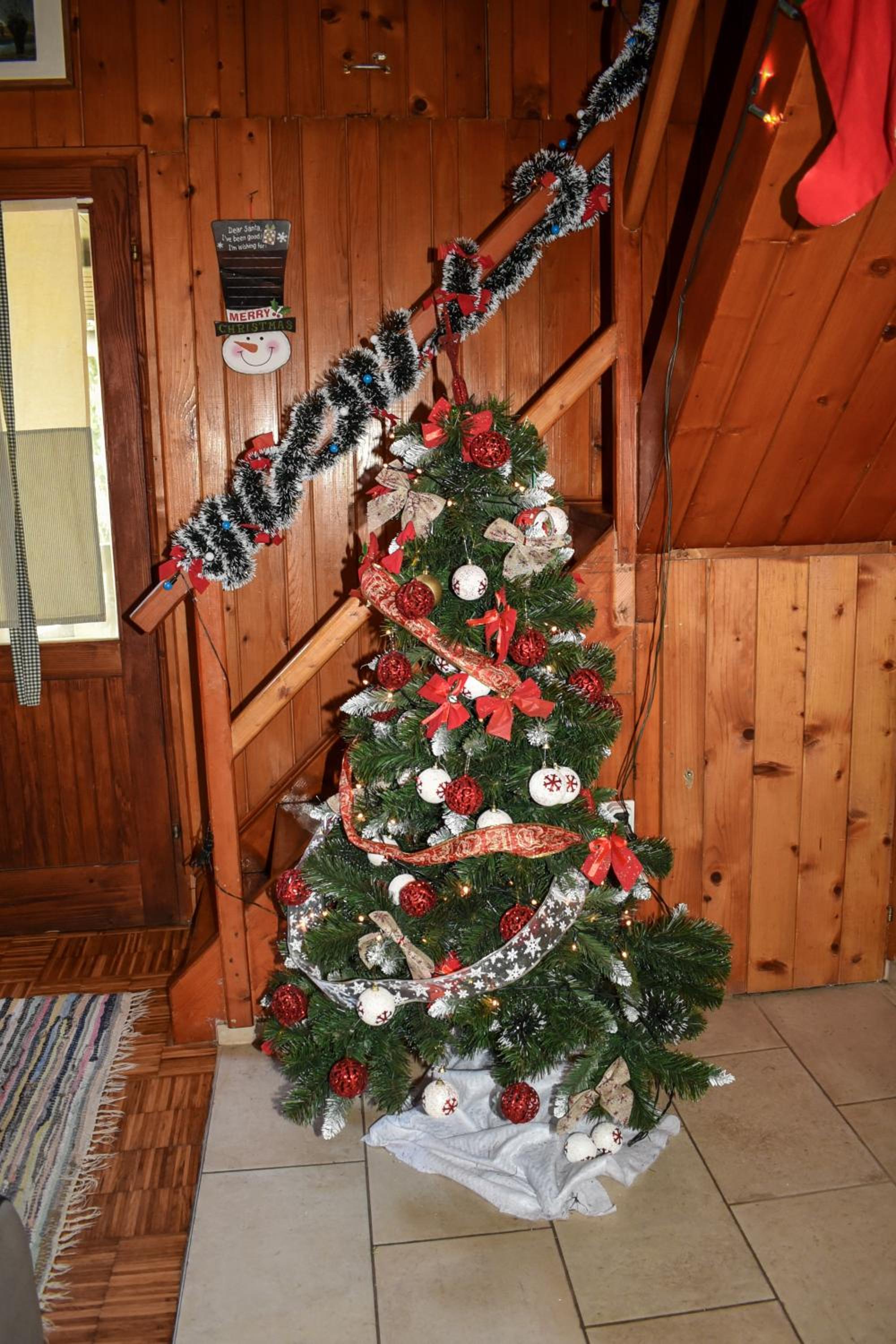 Photo 41