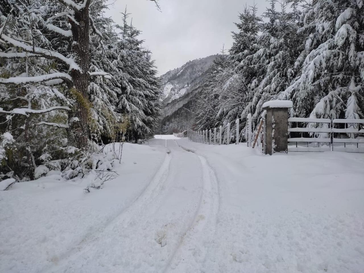 Snowko view 5