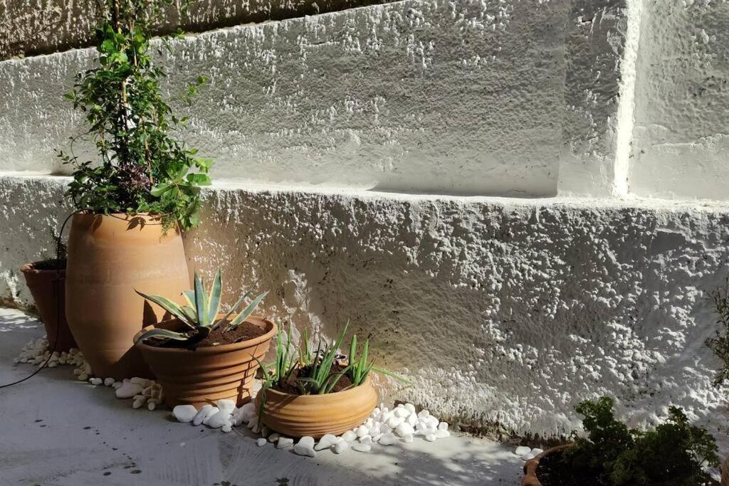 Lovely small (parterre) apartment in Thessaloniki view 5